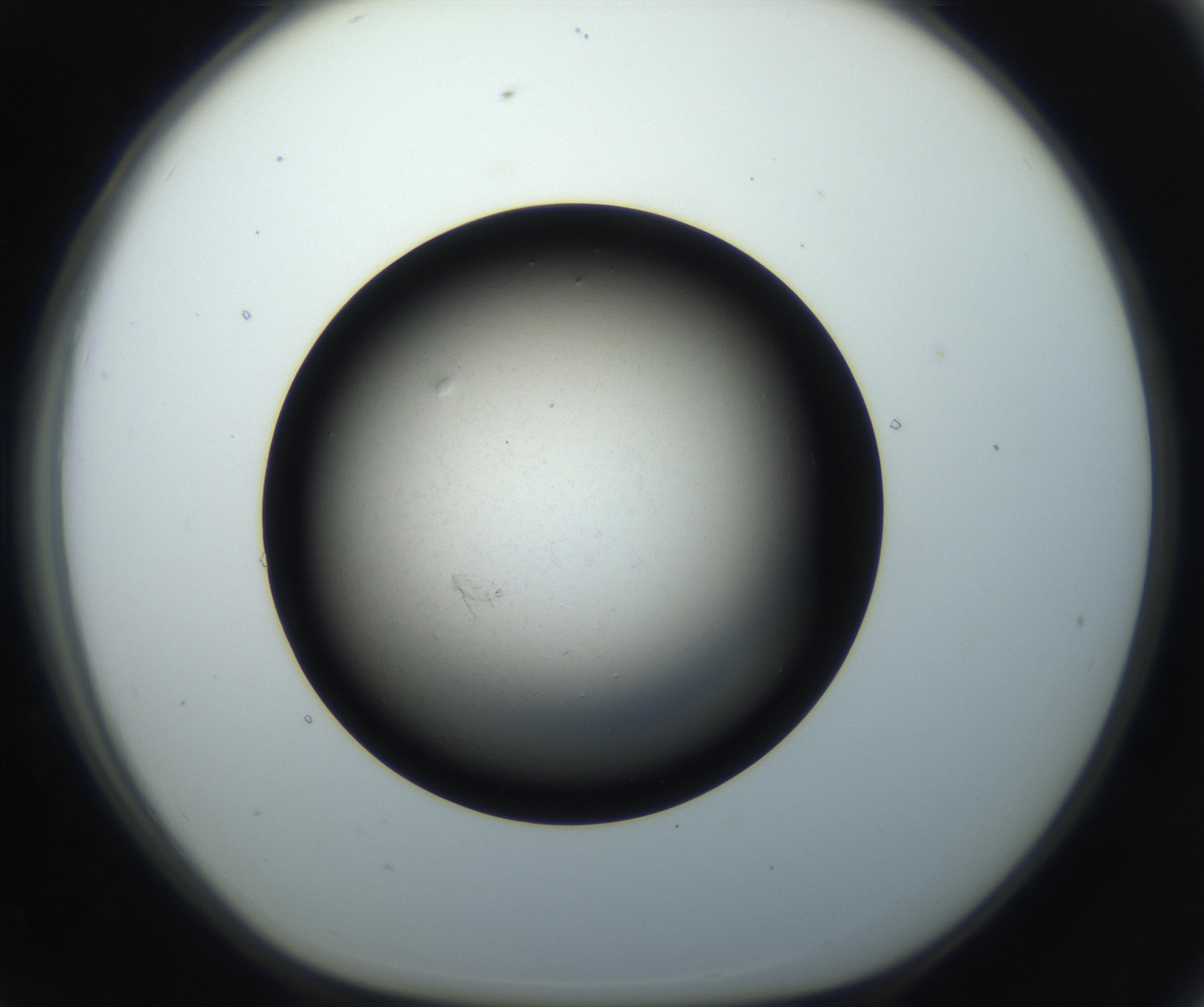 RI01_03_000_0212_Proj1_Clon1_MC_0000MC102718_004_160921_07_07_01_00_99_002_001_RAI.jpg