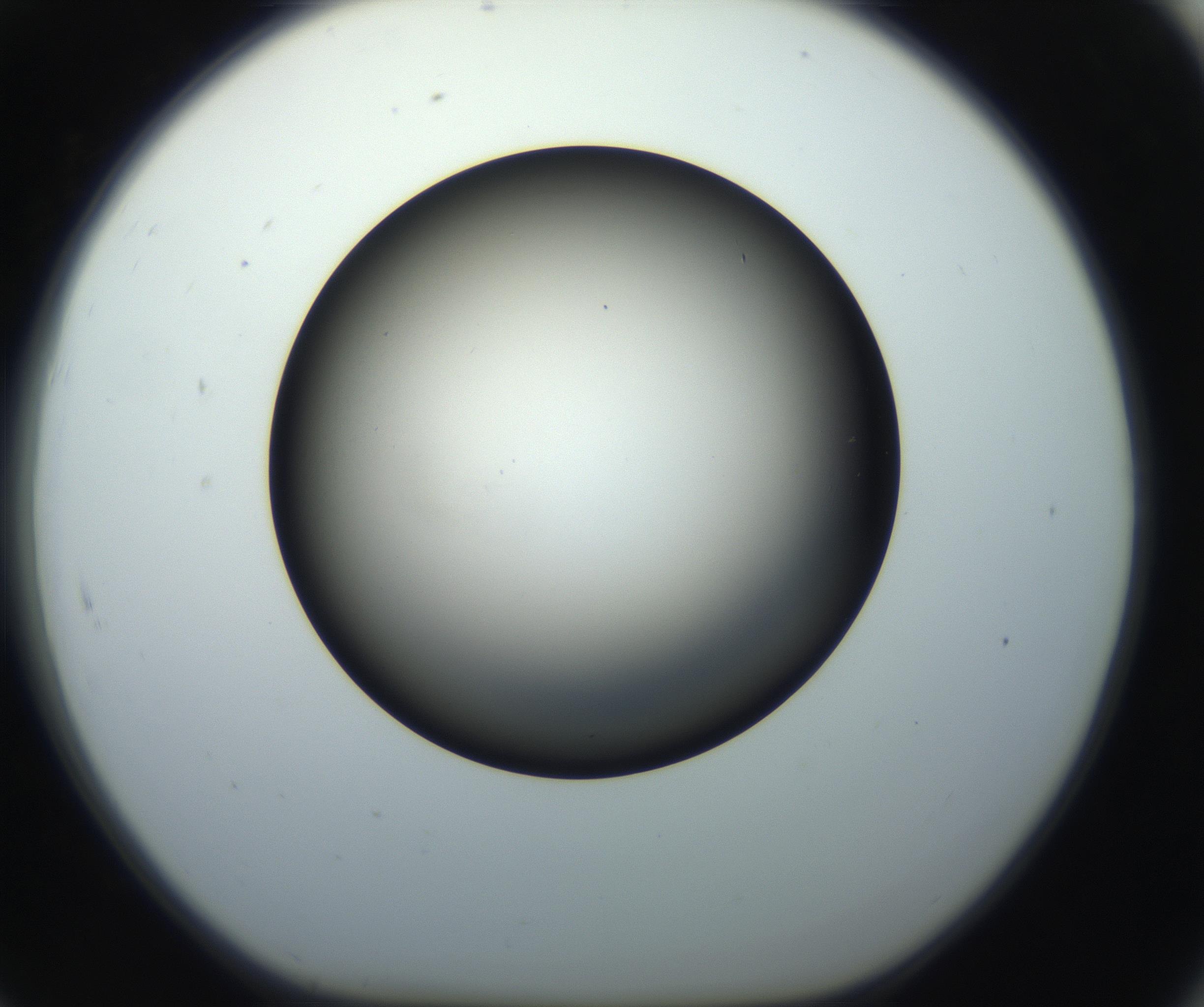 RI01_03_000_0212_Proj1_Clon1_MC_0000MC102718_004_160921_07_08_01_00_99_002_001_RAI.jpg