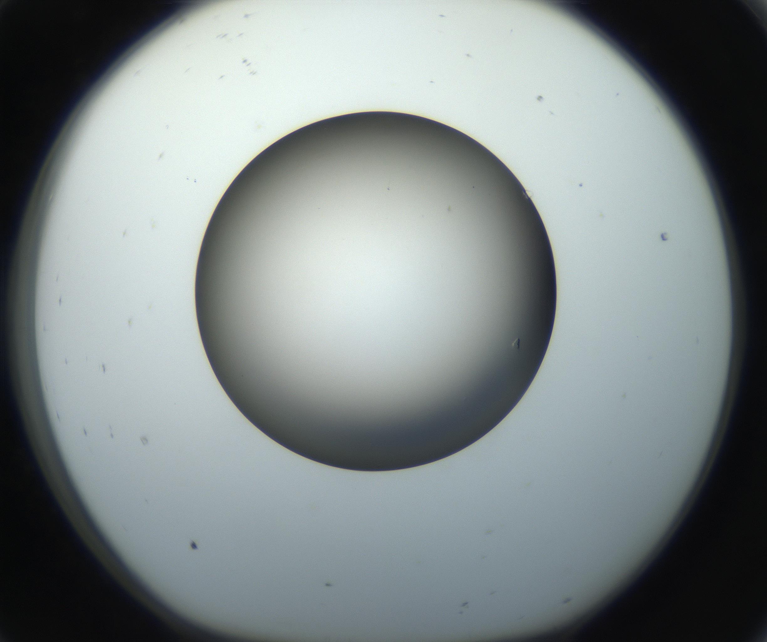 RI01_03_000_0212_Proj1_Clon1_MC_0000MC102718_004_160921_08_01_01_00_99_002_001_RAI.jpg