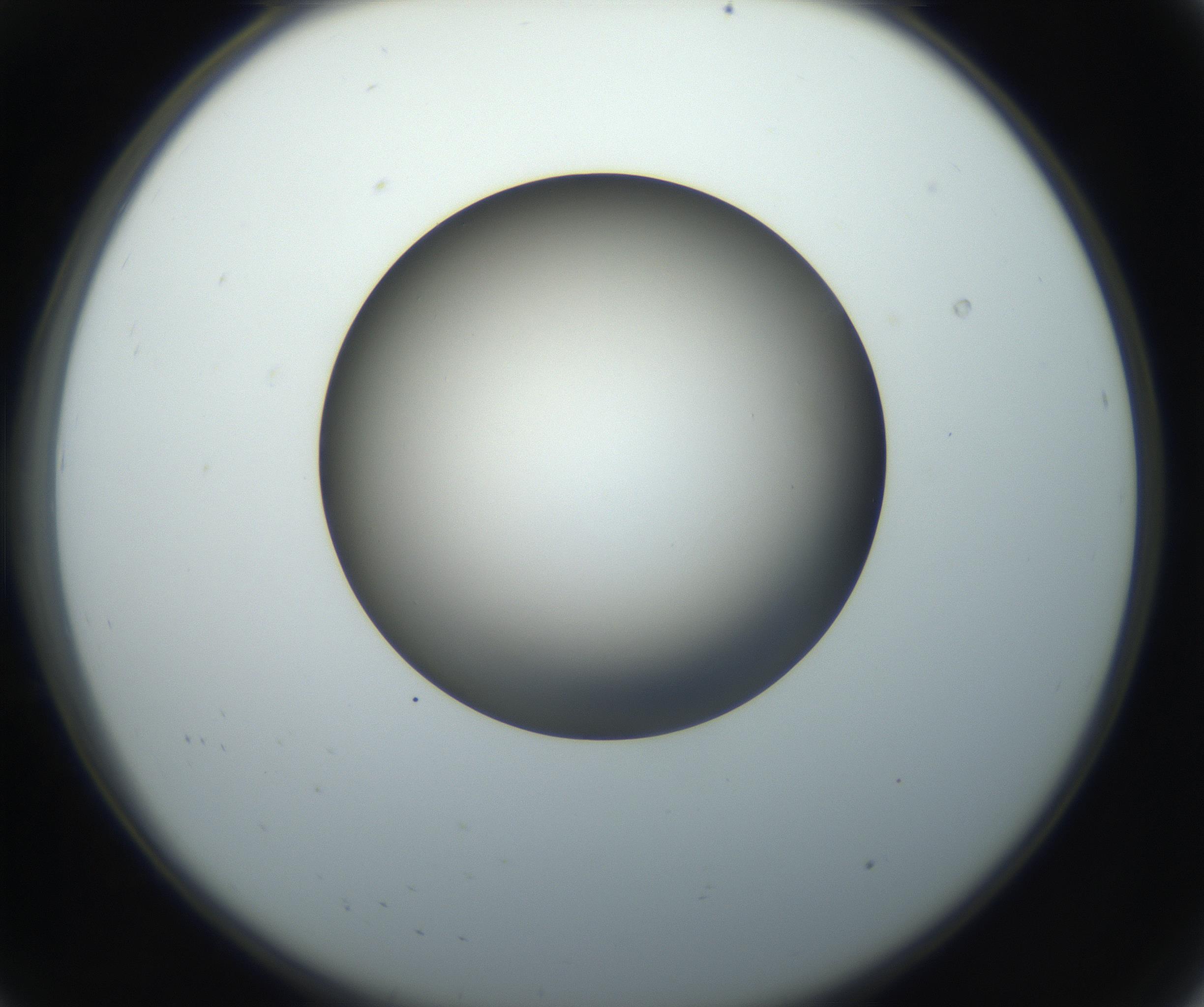 RI01_03_000_0212_Proj1_Clon1_MC_0000MC102718_004_160921_08_01_02_00_99_002_001_RAI.jpg