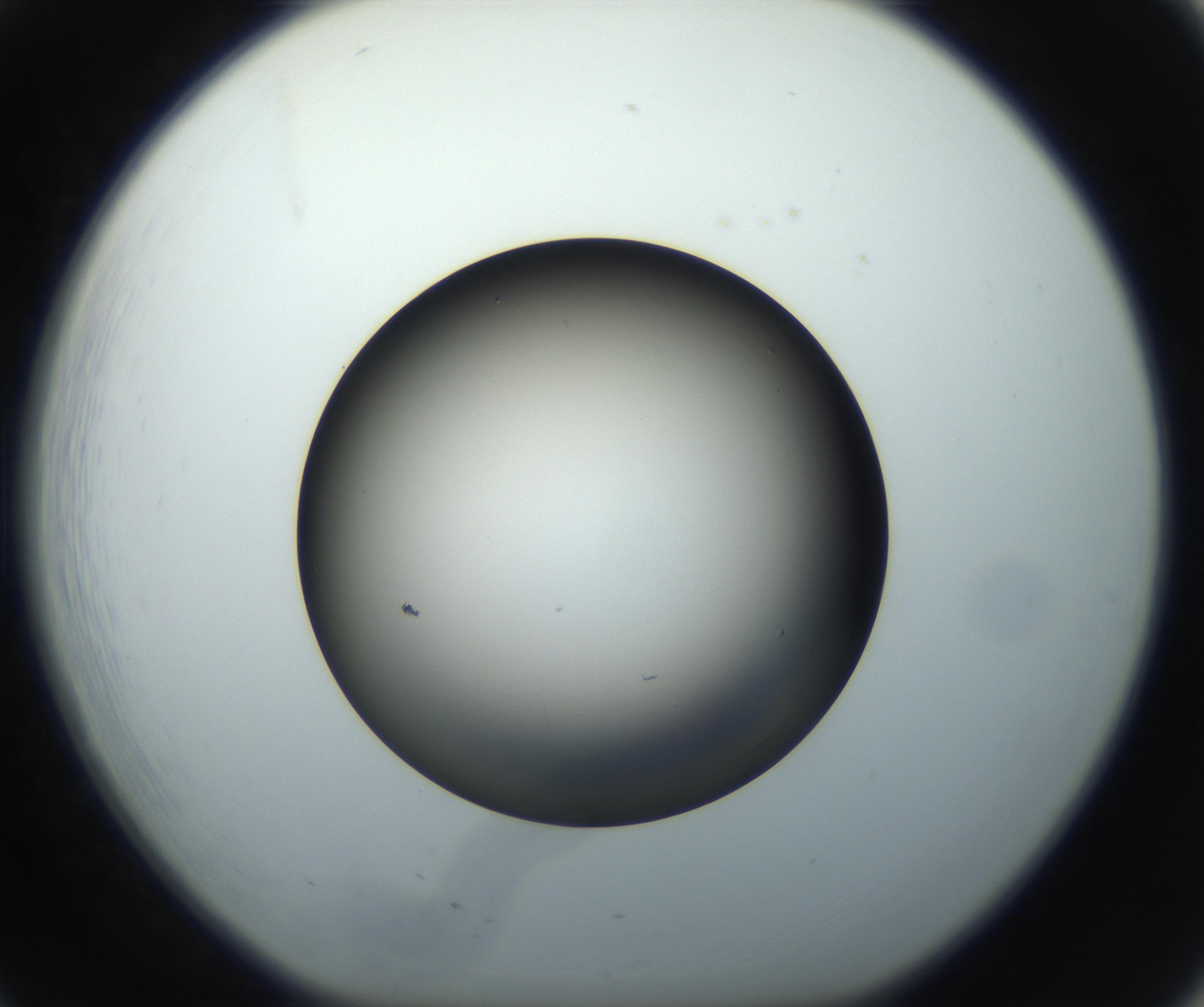 RI01_03_000_0212_Proj1_Clon1_MC_0000MC102718_004_160921_08_02_01_00_99_002_001_RAI.jpg