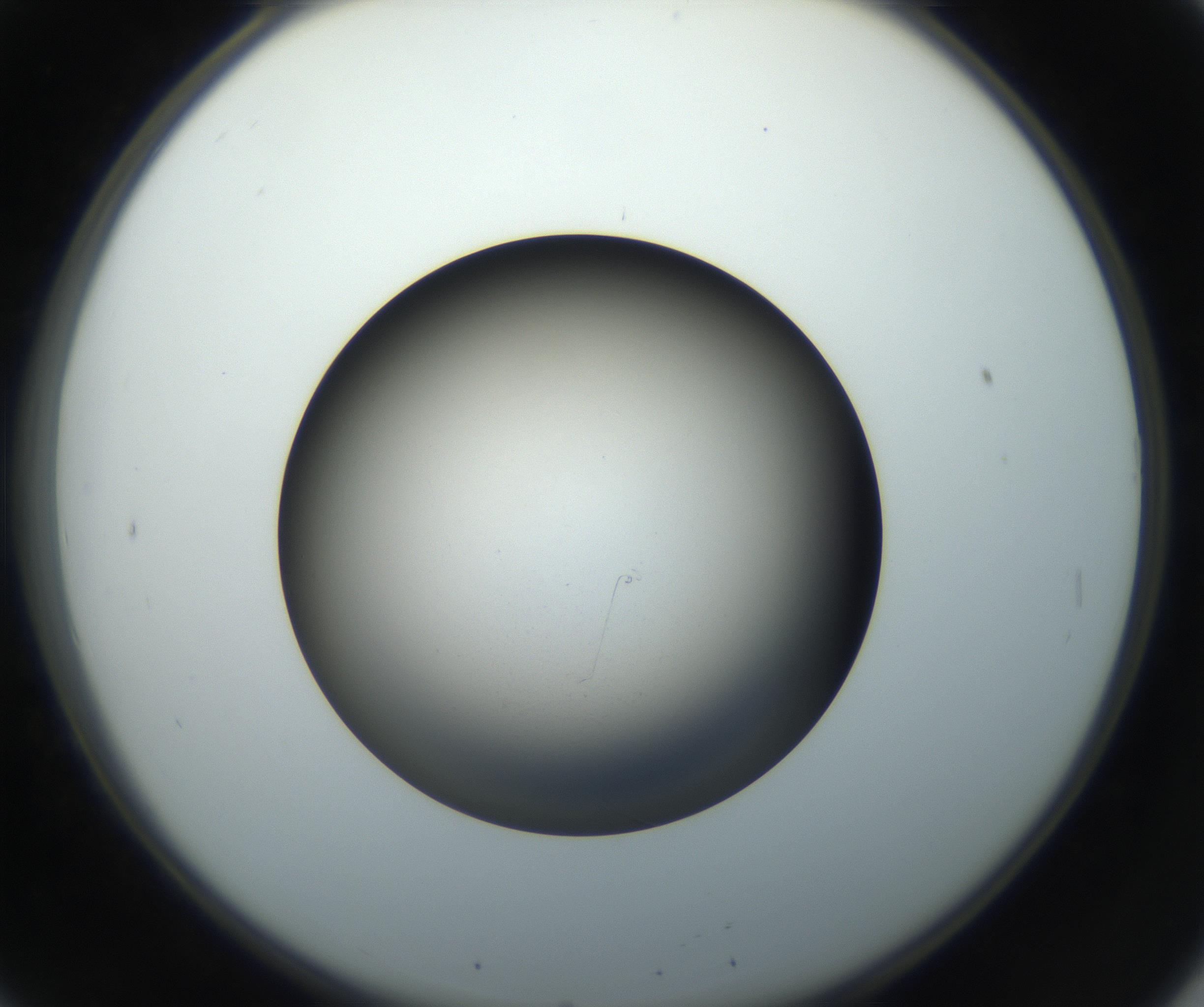 RI01_03_000_0212_Proj1_Clon1_MC_0000MC102718_004_160921_08_02_02_00_99_002_001_RAI.jpg