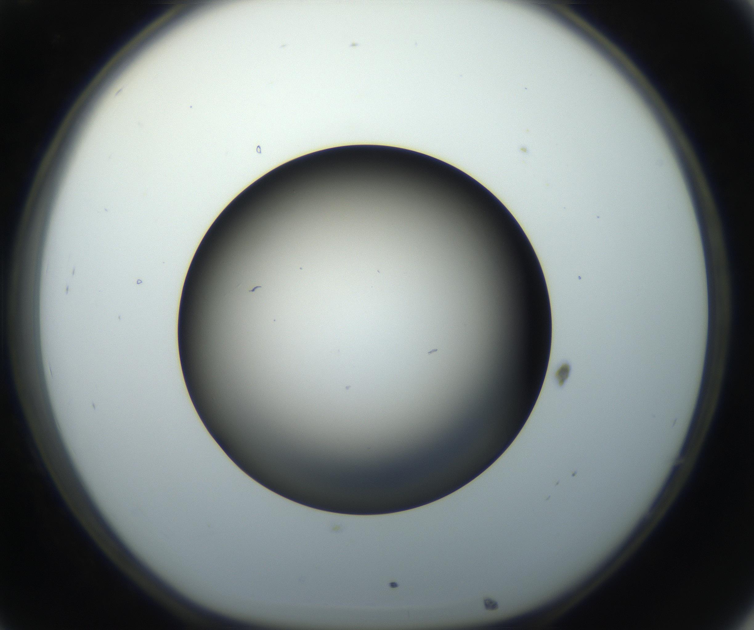 RI01_03_000_0212_Proj1_Clon1_MC_0000MC102718_004_160921_08_03_01_00_99_002_001_RAI.jpg