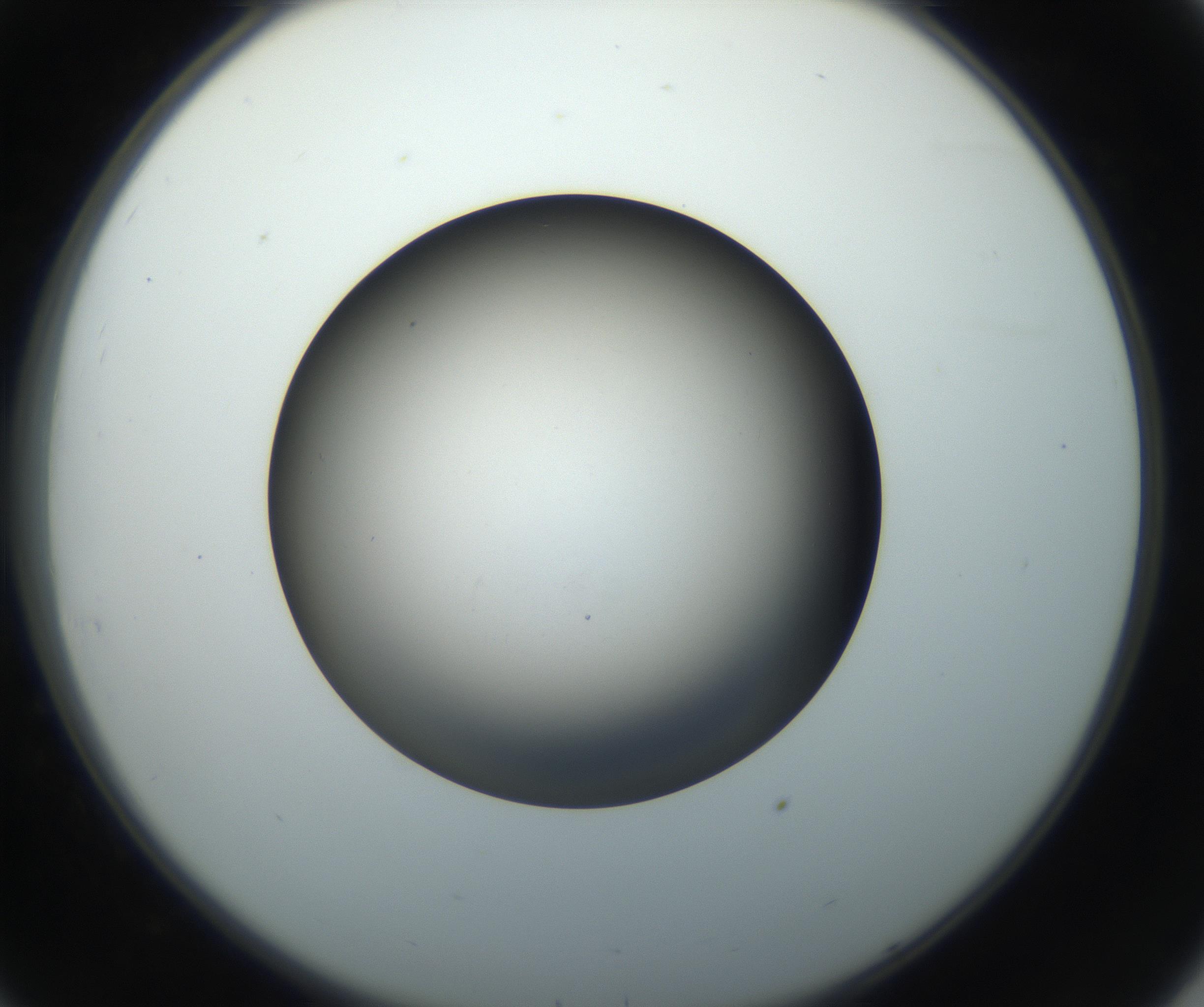 RI01_03_000_0212_Proj1_Clon1_MC_0000MC102718_004_160921_08_03_02_00_99_002_001_RAI.jpg