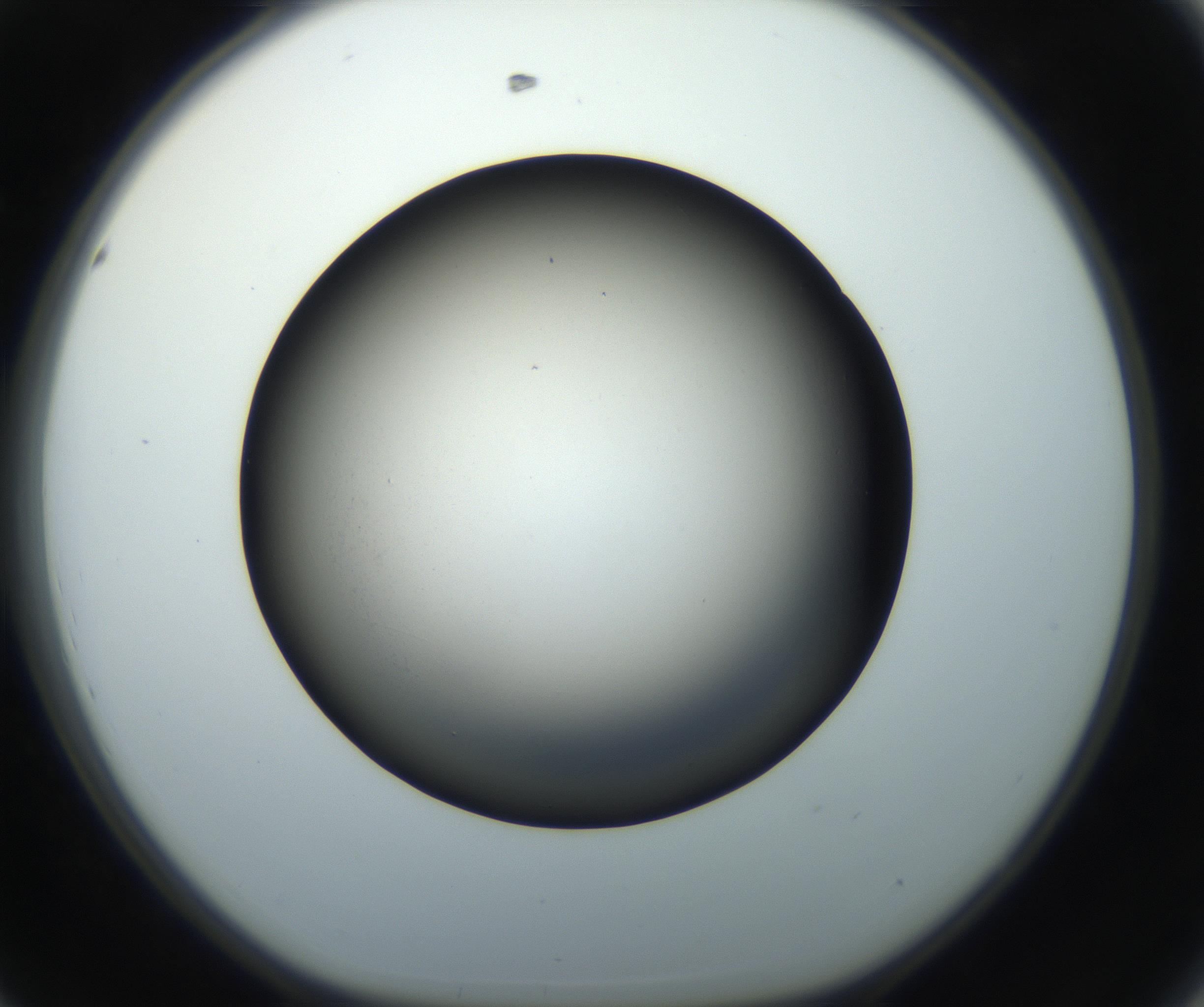 RI01_03_000_0212_Proj1_Clon1_MC_0000MC102718_004_160921_08_04_01_00_99_002_001_RAI.jpg