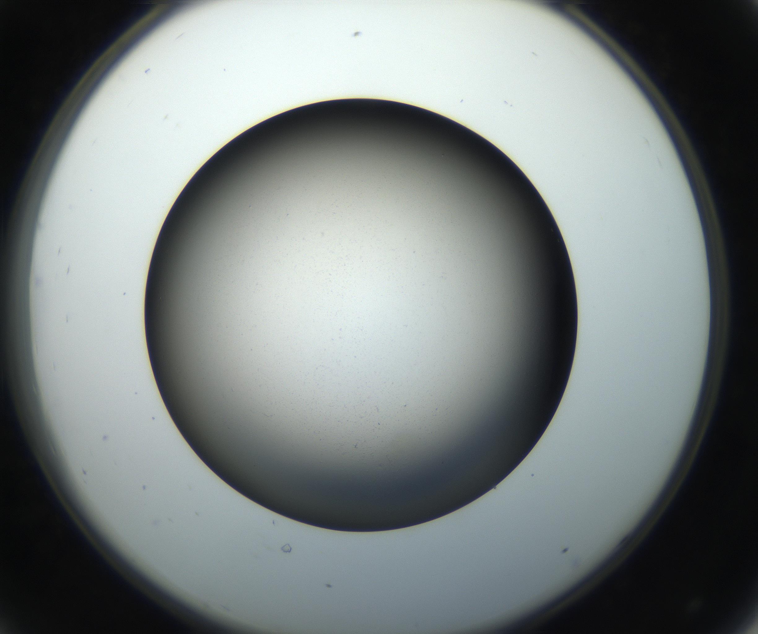RI01_03_000_0212_Proj1_Clon1_MC_0000MC102718_004_160921_08_04_02_00_99_002_001_RAI.jpg