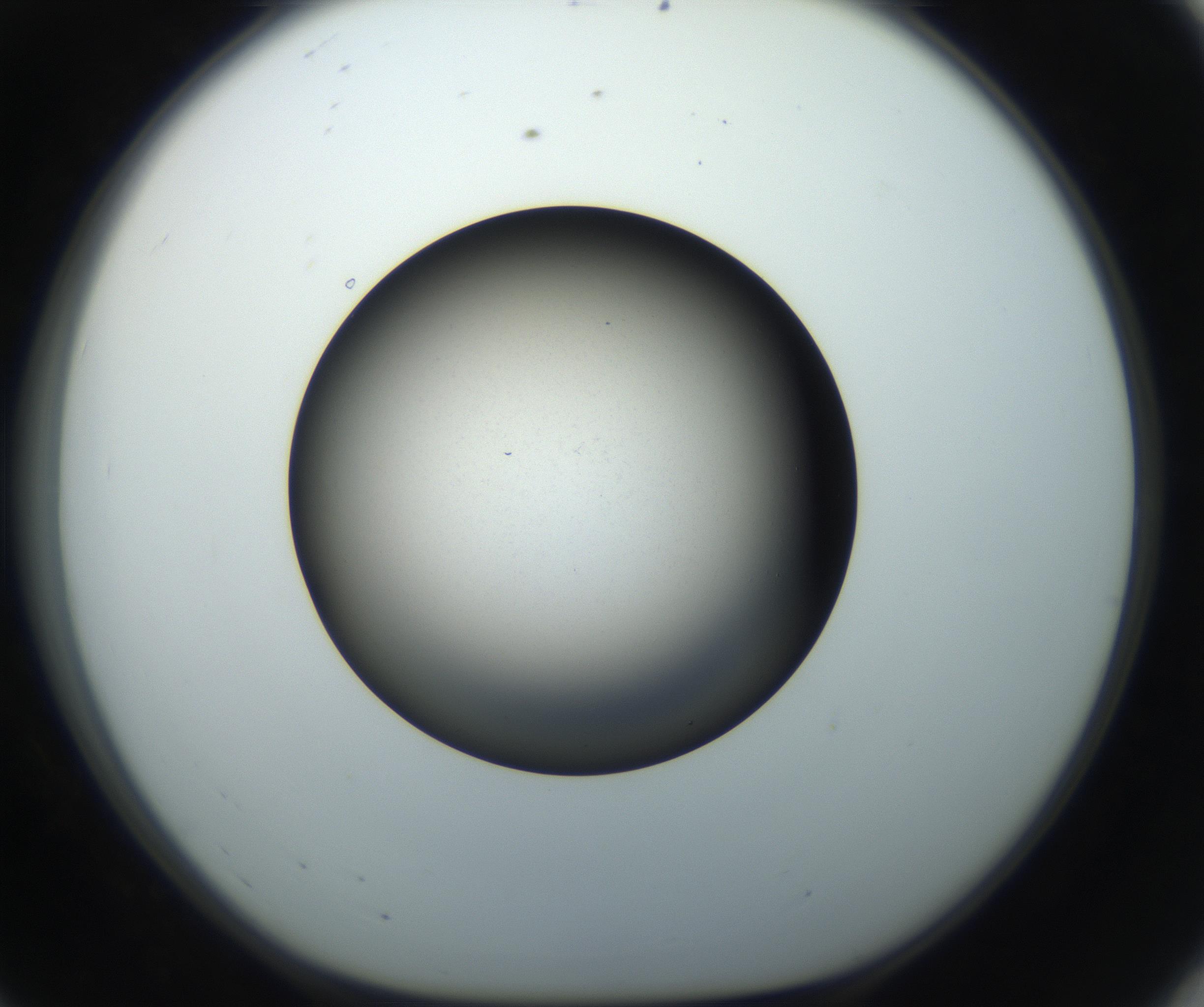 RI01_03_000_0212_Proj1_Clon1_MC_0000MC102718_004_160921_08_05_01_00_99_002_001_RAI.jpg