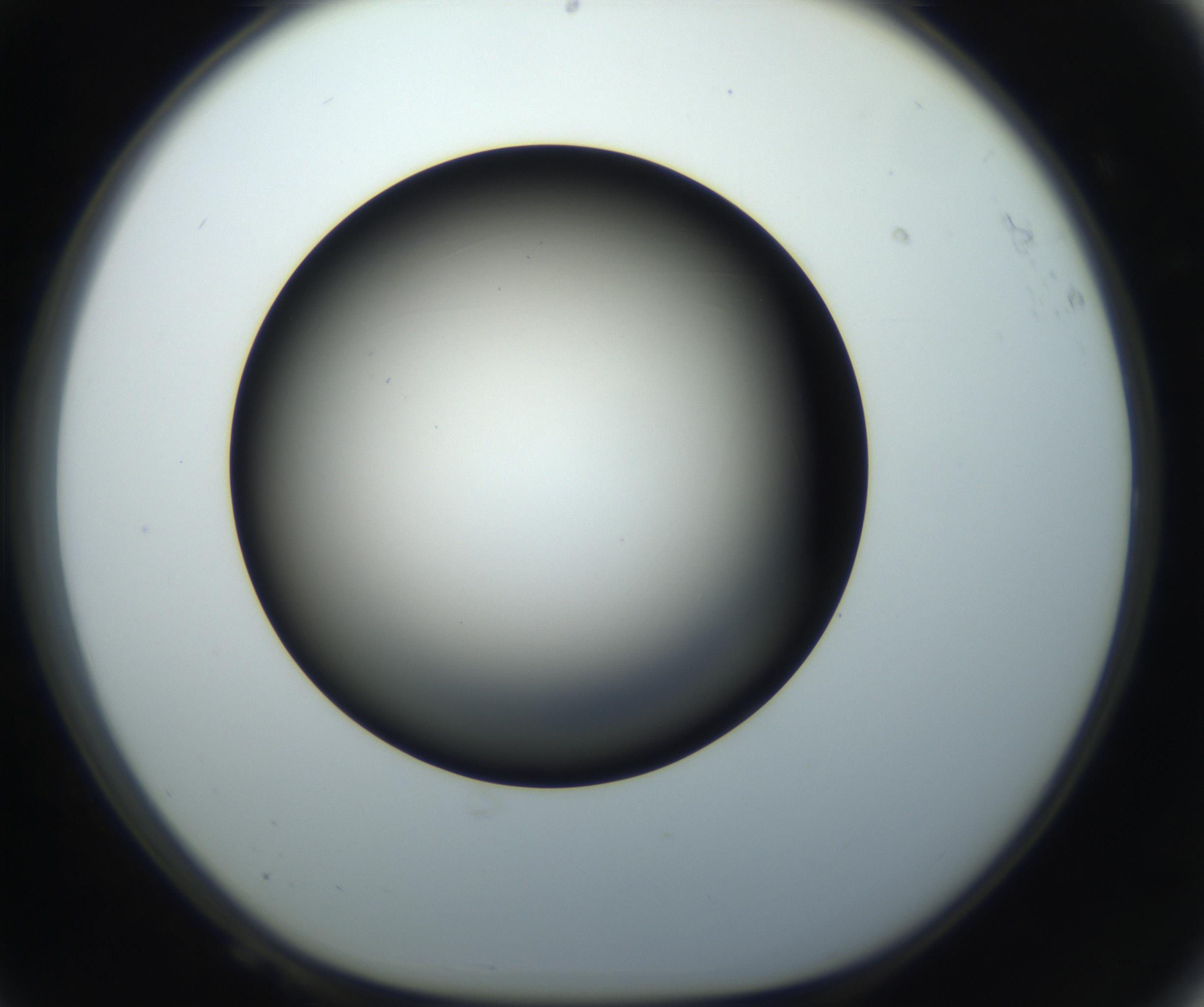 RI01_03_000_0212_Proj1_Clon1_MC_0000MC102718_004_160921_08_06_01_00_99_002_001_RAI.jpg