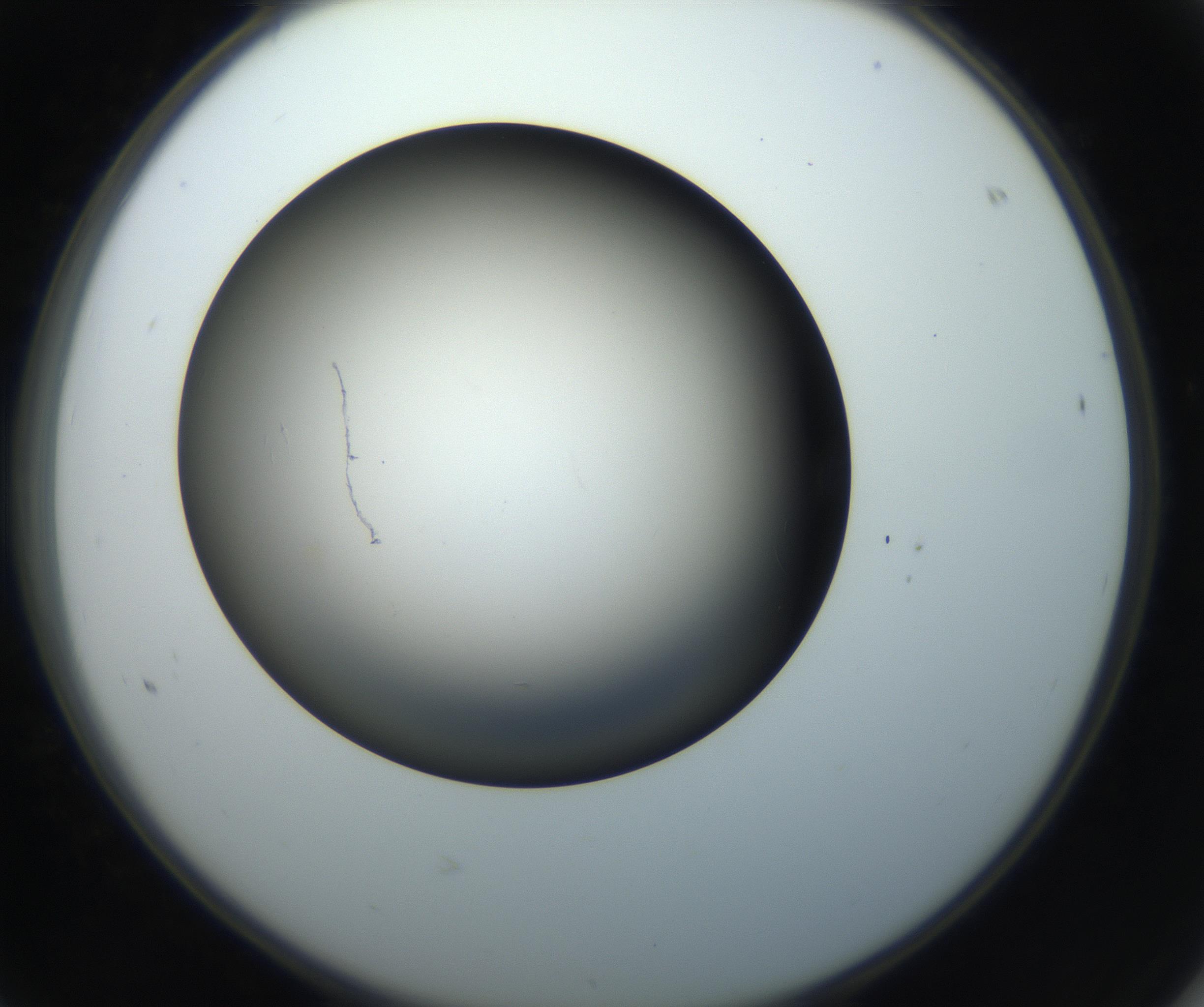 RI01_03_000_0212_Proj1_Clon1_MC_0000MC102718_004_160921_08_06_02_00_99_002_001_RAI.jpg