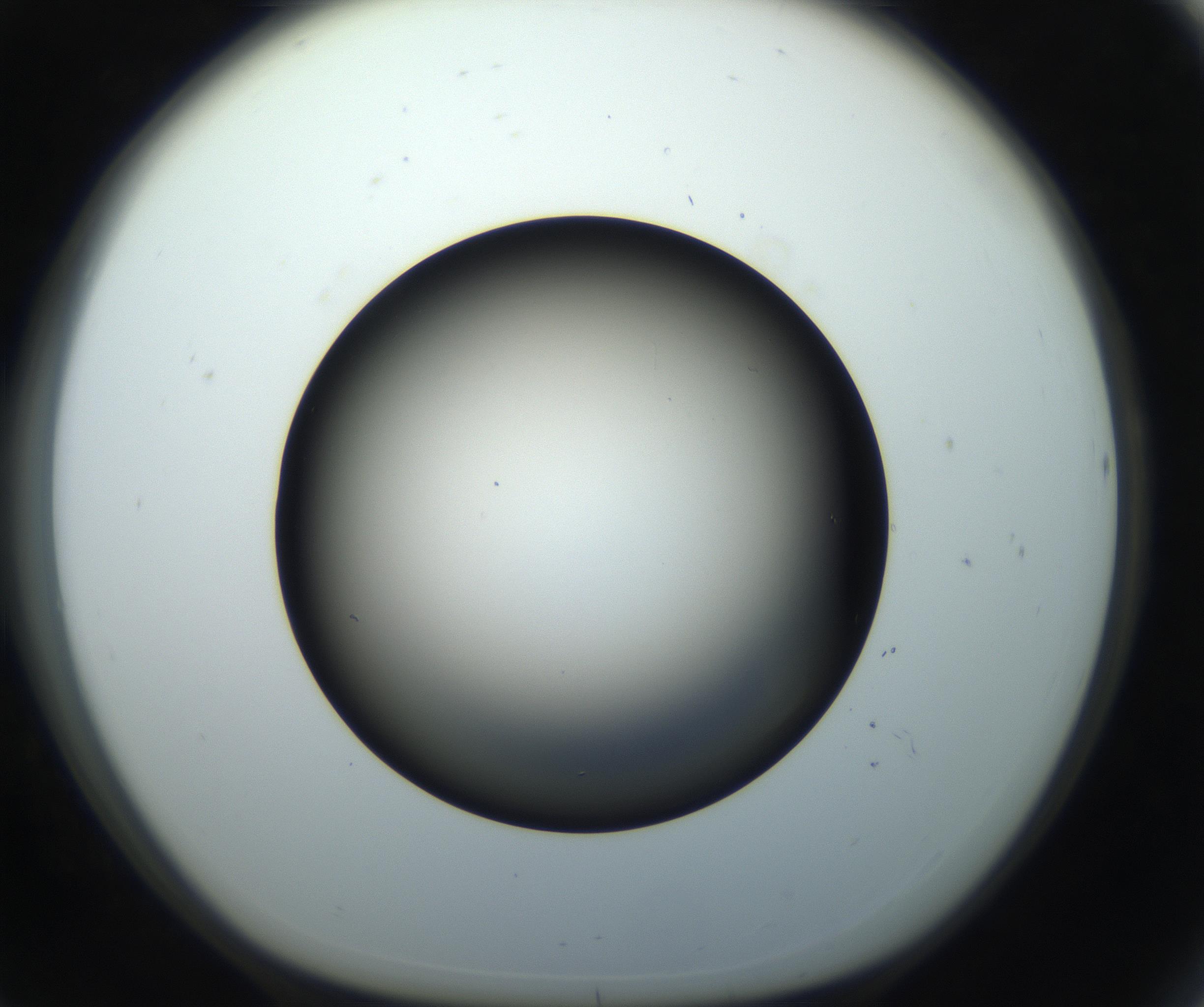 RI01_03_000_0212_Proj1_Clon1_MC_0000MC102718_004_160921_08_07_01_00_99_002_001_RAI.jpg