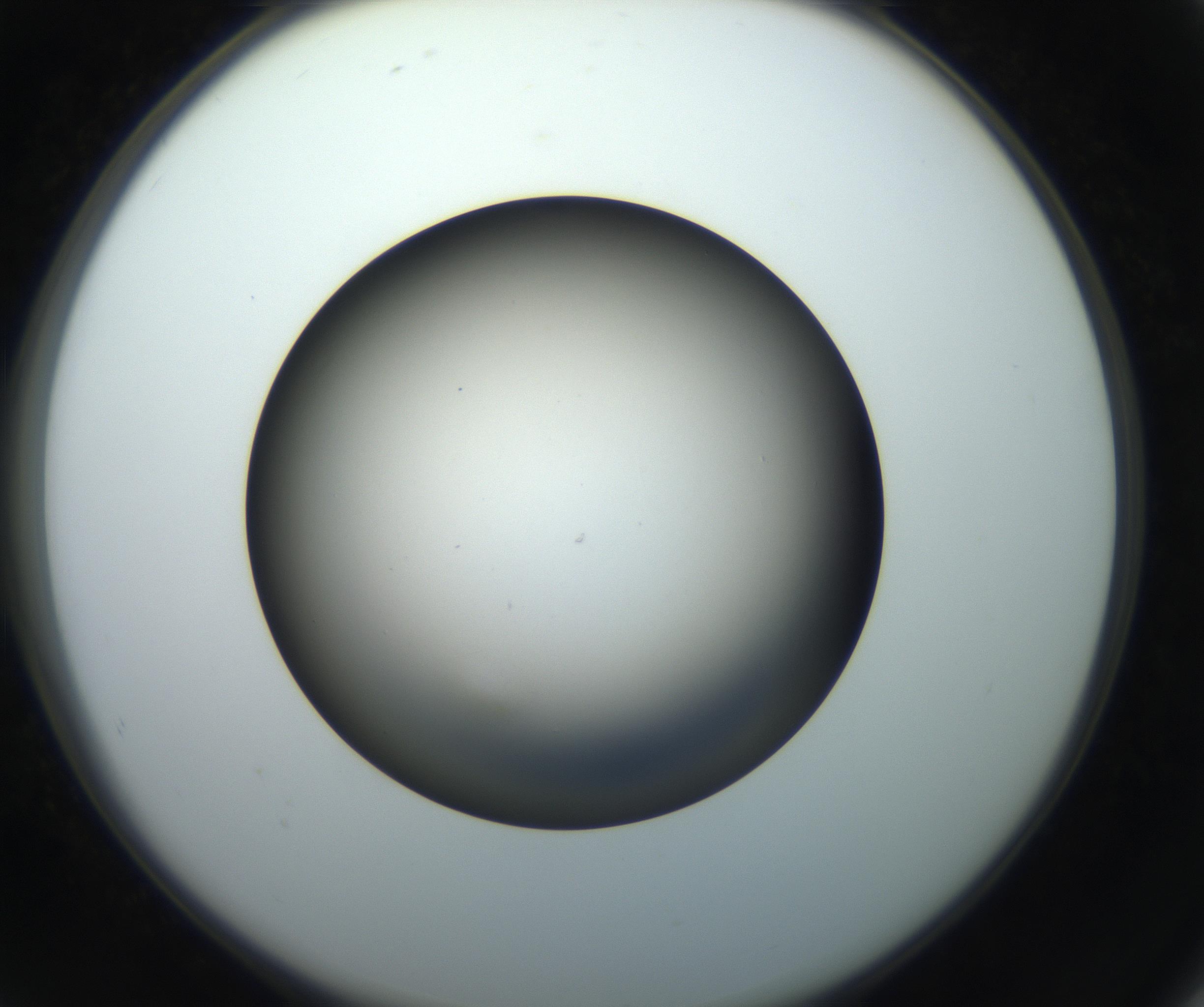 RI01_03_000_0212_Proj1_Clon1_MC_0000MC102718_004_160921_08_07_02_00_99_002_001_RAI.jpg