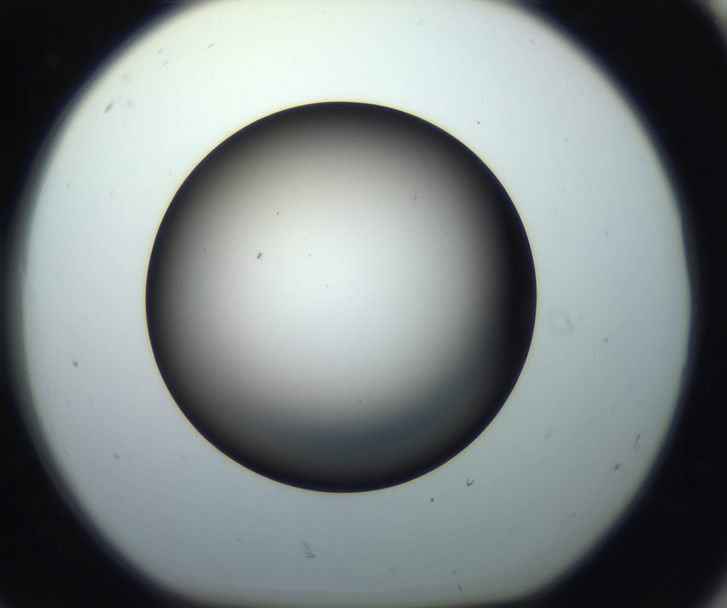 RI01_03_000_0212_Proj1_Clon1_MC_0000MC102718_004_160921_08_08_01_00_99_002_001_RAI.jpg