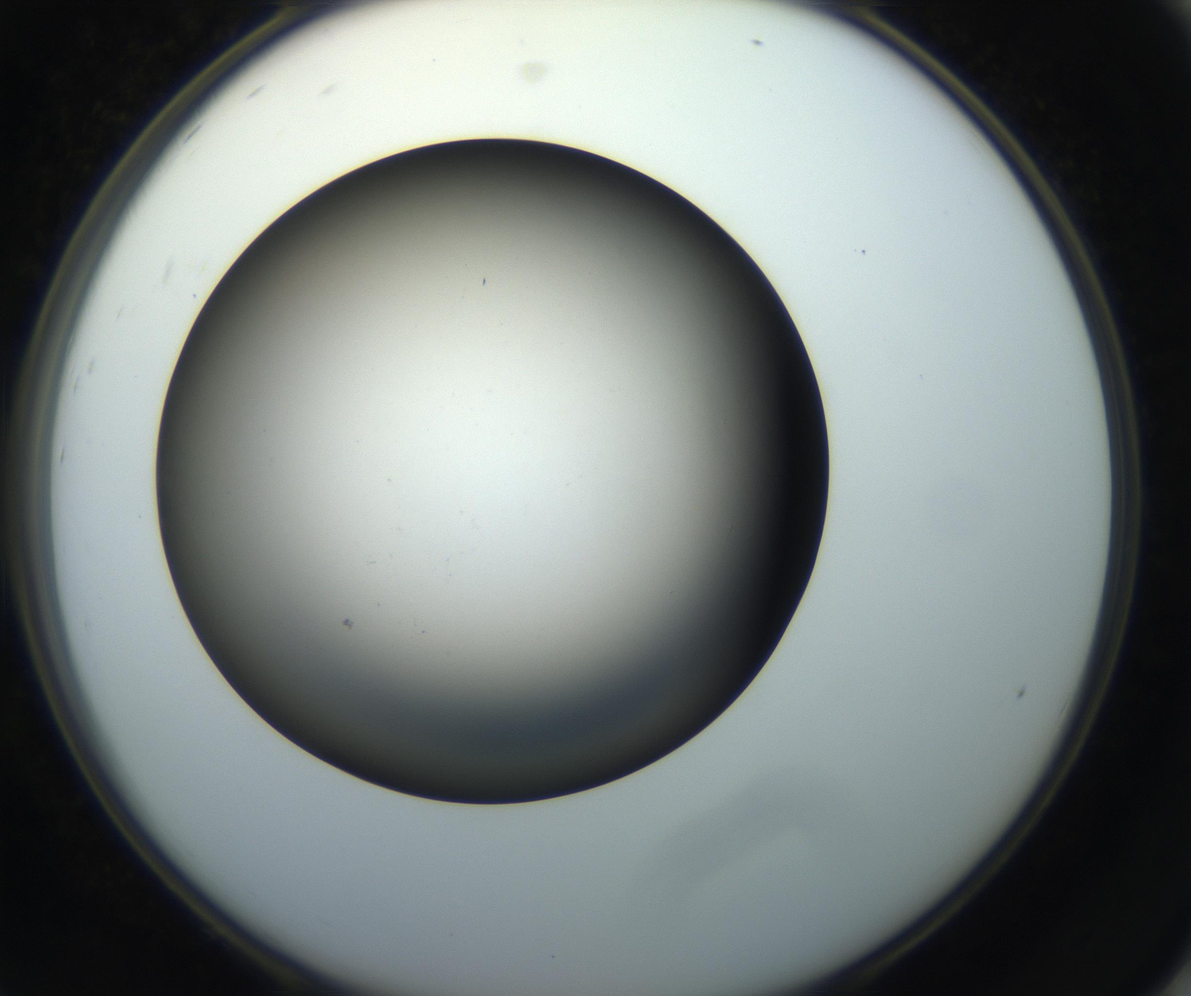 RI01_03_000_0212_Proj1_Clon1_MC_0000MC102718_004_160921_08_08_02_00_99_002_001_RAI.jpg