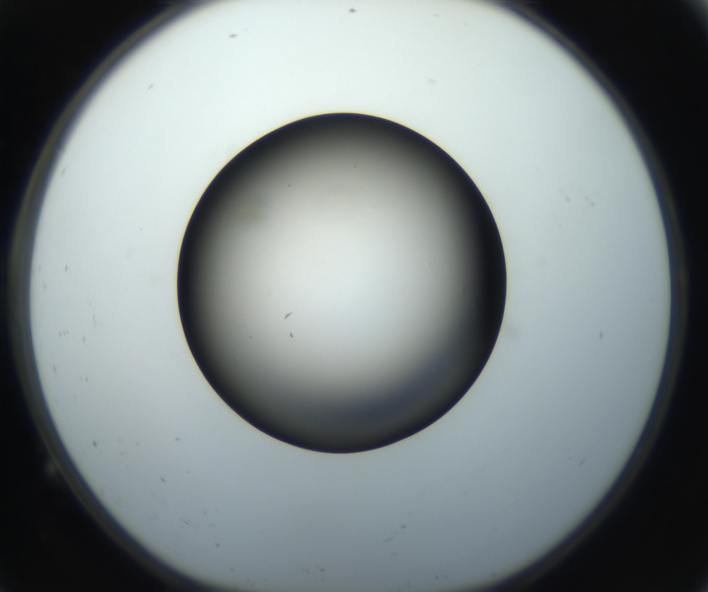 RI01_03_000_0212_Proj1_Clon1_MC_0000MC102718_004_160921_09_01_01_00_99_002_001_RAI.jpg