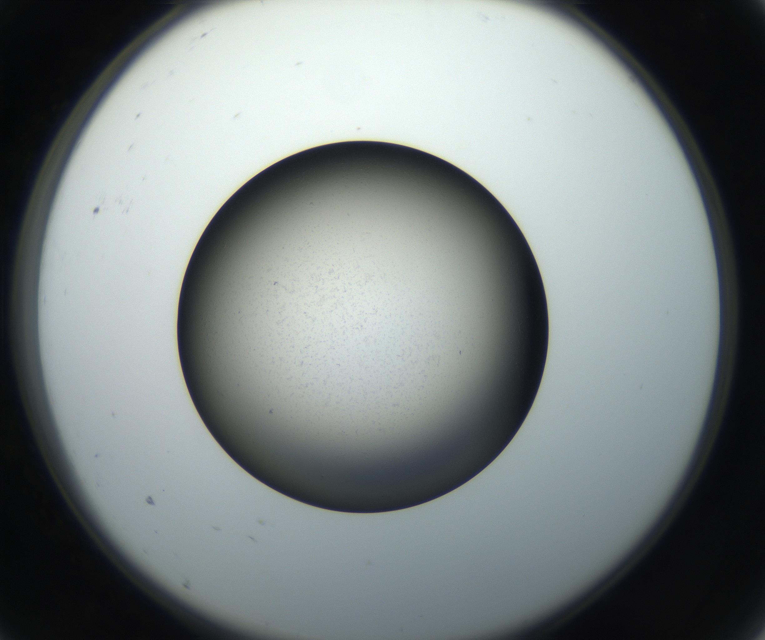RI01_03_000_0212_Proj1_Clon1_MC_0000MC102718_004_160921_09_01_02_00_99_002_001_RAI.jpg