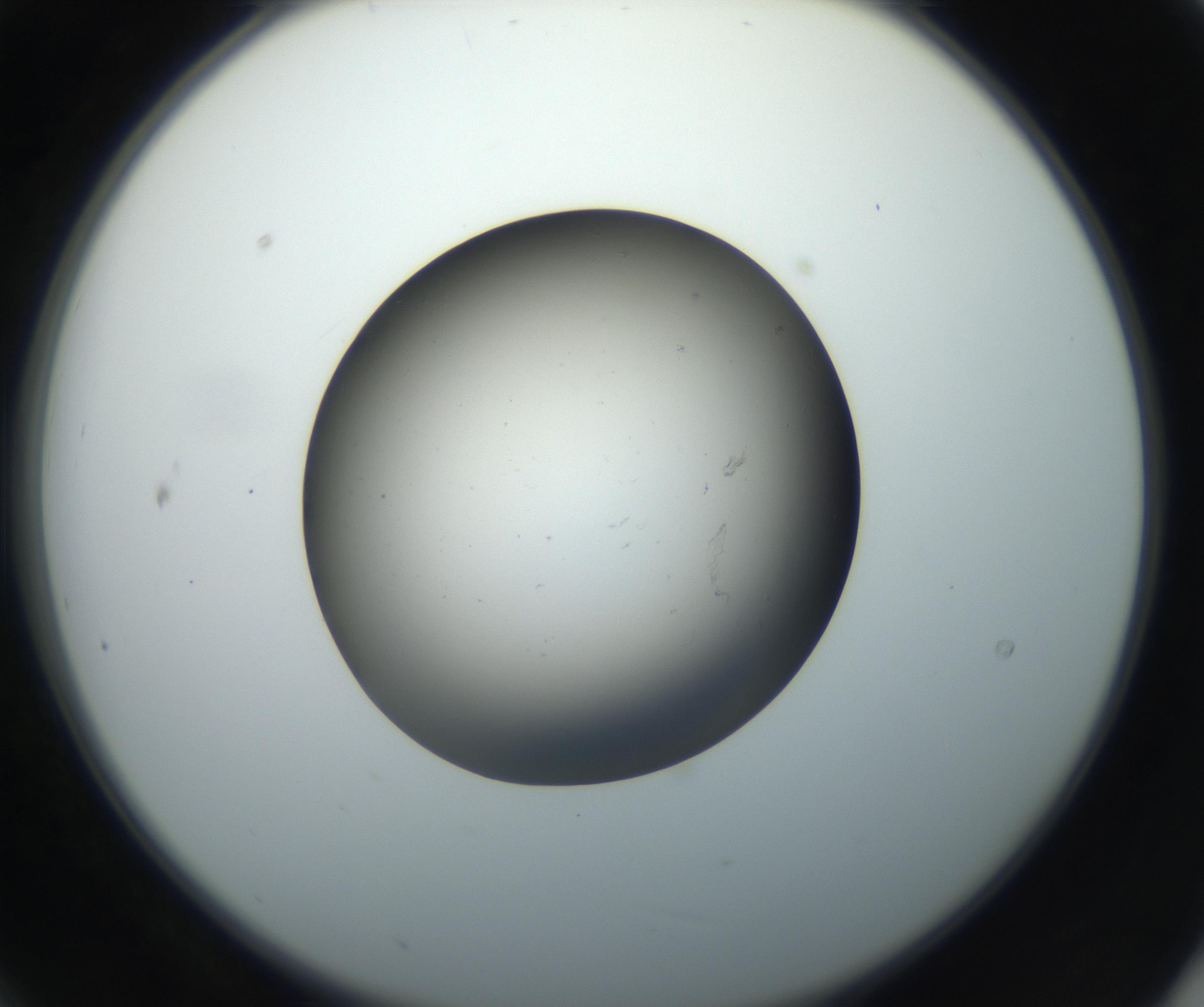 RI01_03_000_0212_Proj1_Clon1_MC_0000MC102718_004_160921_09_02_02_00_99_002_001_RAI.jpg
