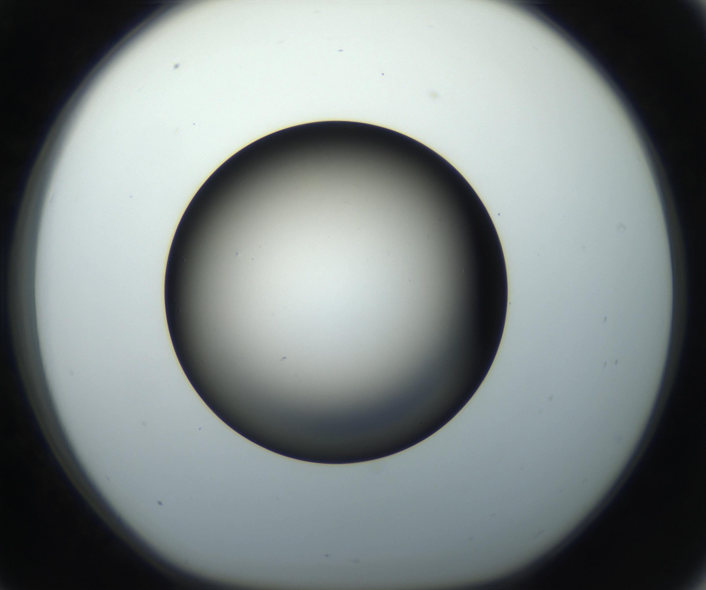 RI01_03_000_0212_Proj1_Clon1_MC_0000MC102718_004_160921_09_03_01_00_99_002_001_RAI.jpg