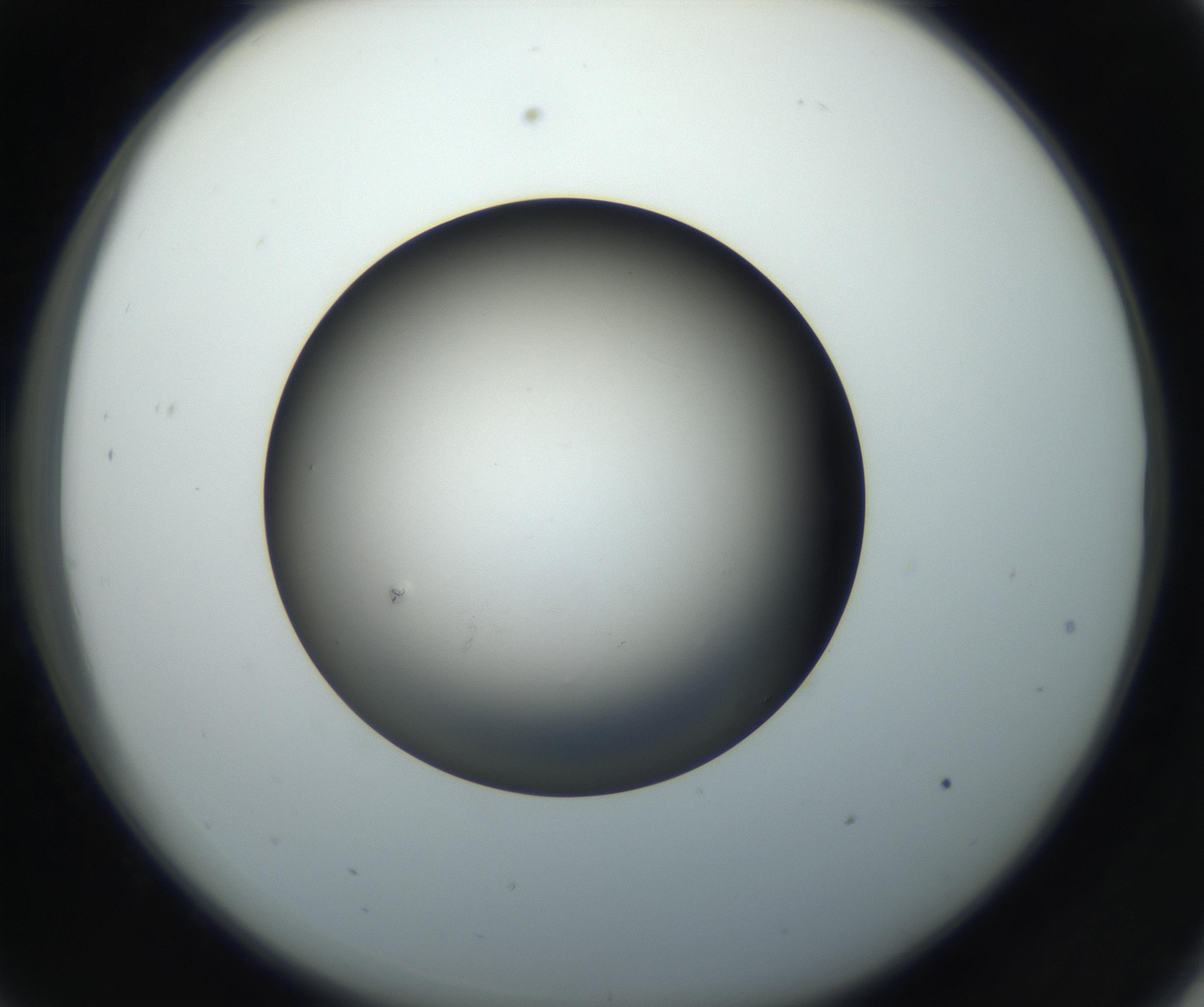 RI01_03_000_0212_Proj1_Clon1_MC_0000MC102718_004_160921_09_03_02_00_99_002_001_RAI.jpg