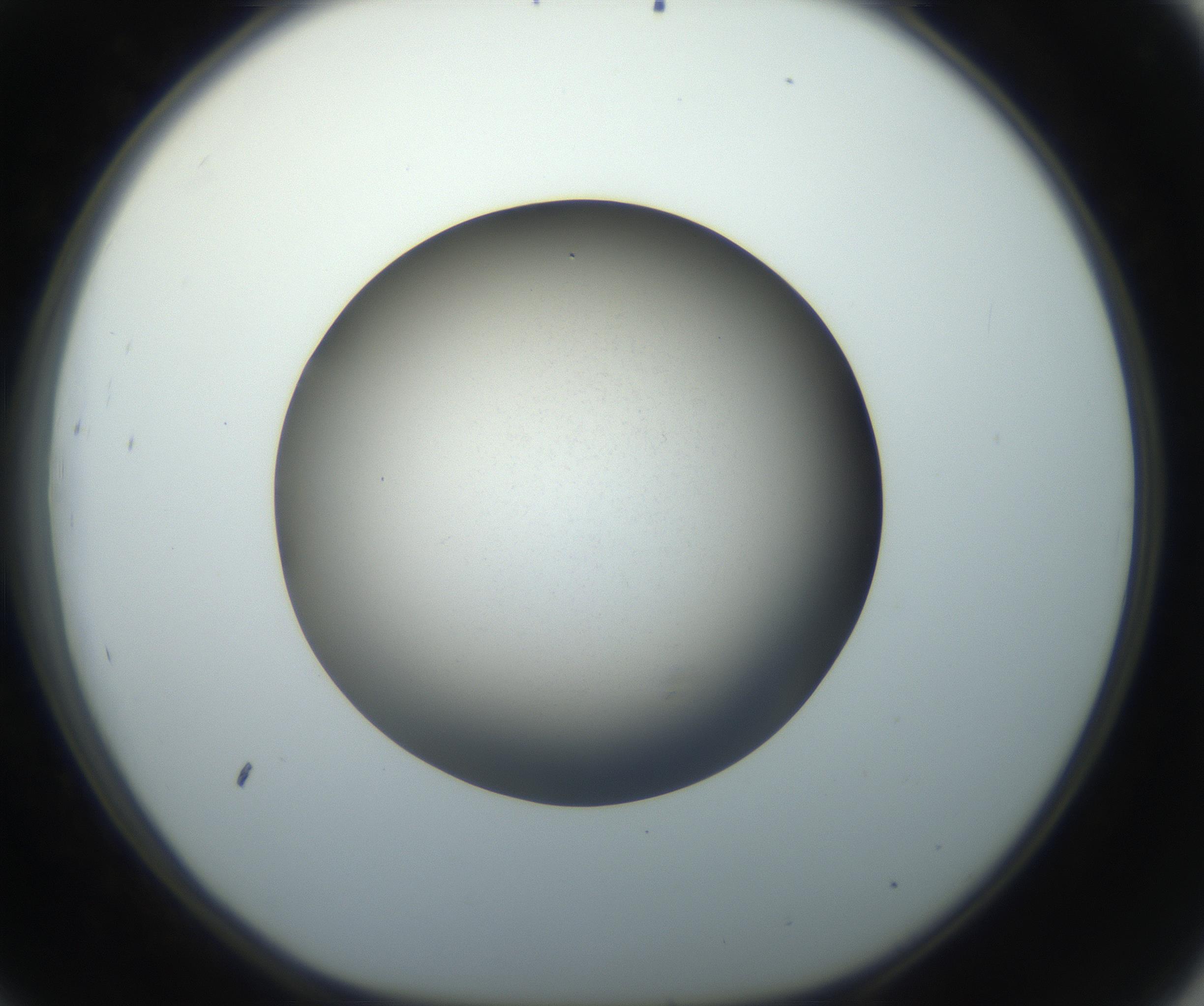 RI01_03_000_0212_Proj1_Clon1_MC_0000MC102718_004_160921_09_04_01_00_99_002_001_RAI.jpg