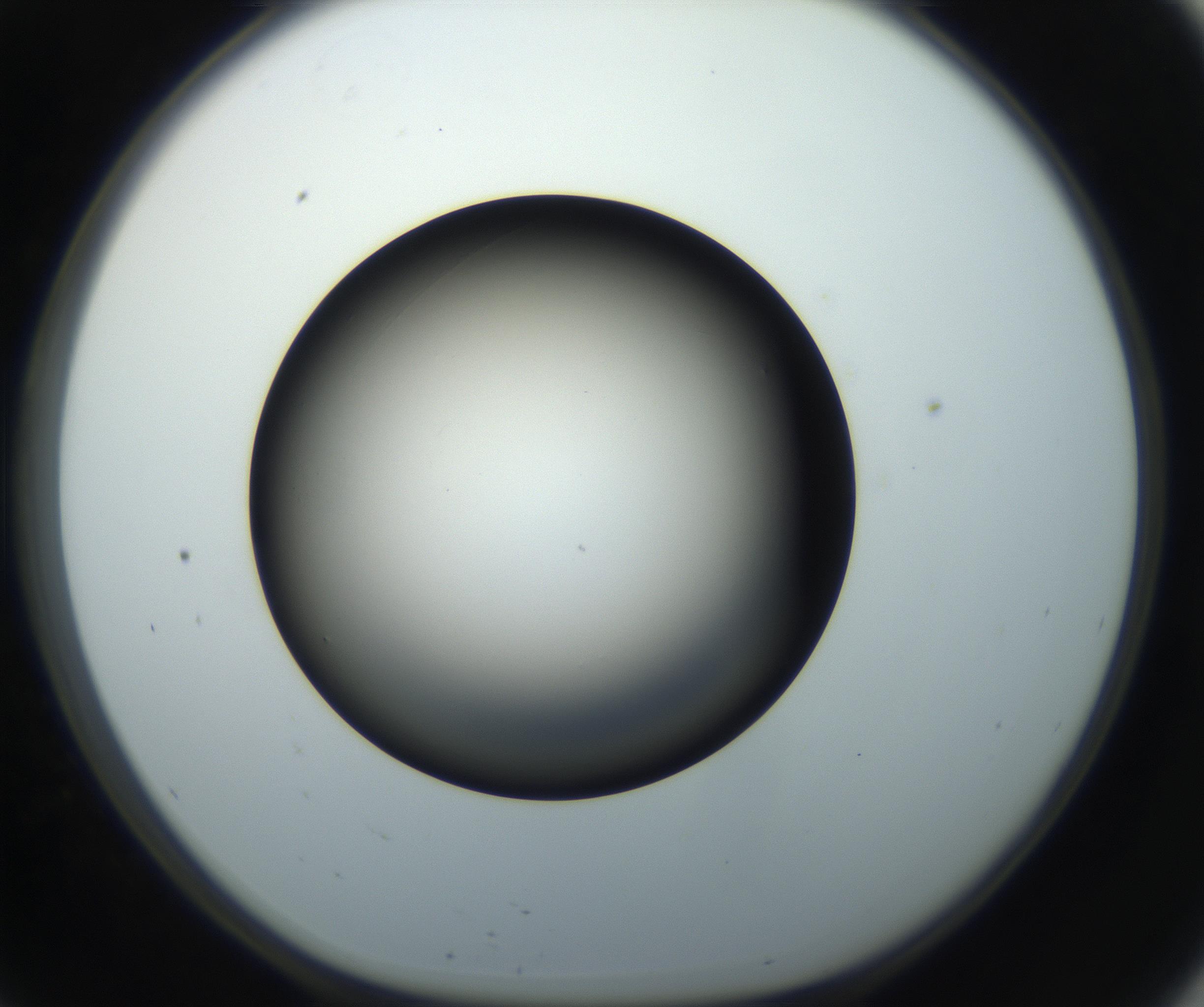 RI01_03_000_0212_Proj1_Clon1_MC_0000MC102718_004_160921_09_05_01_00_99_002_001_RAI.jpg