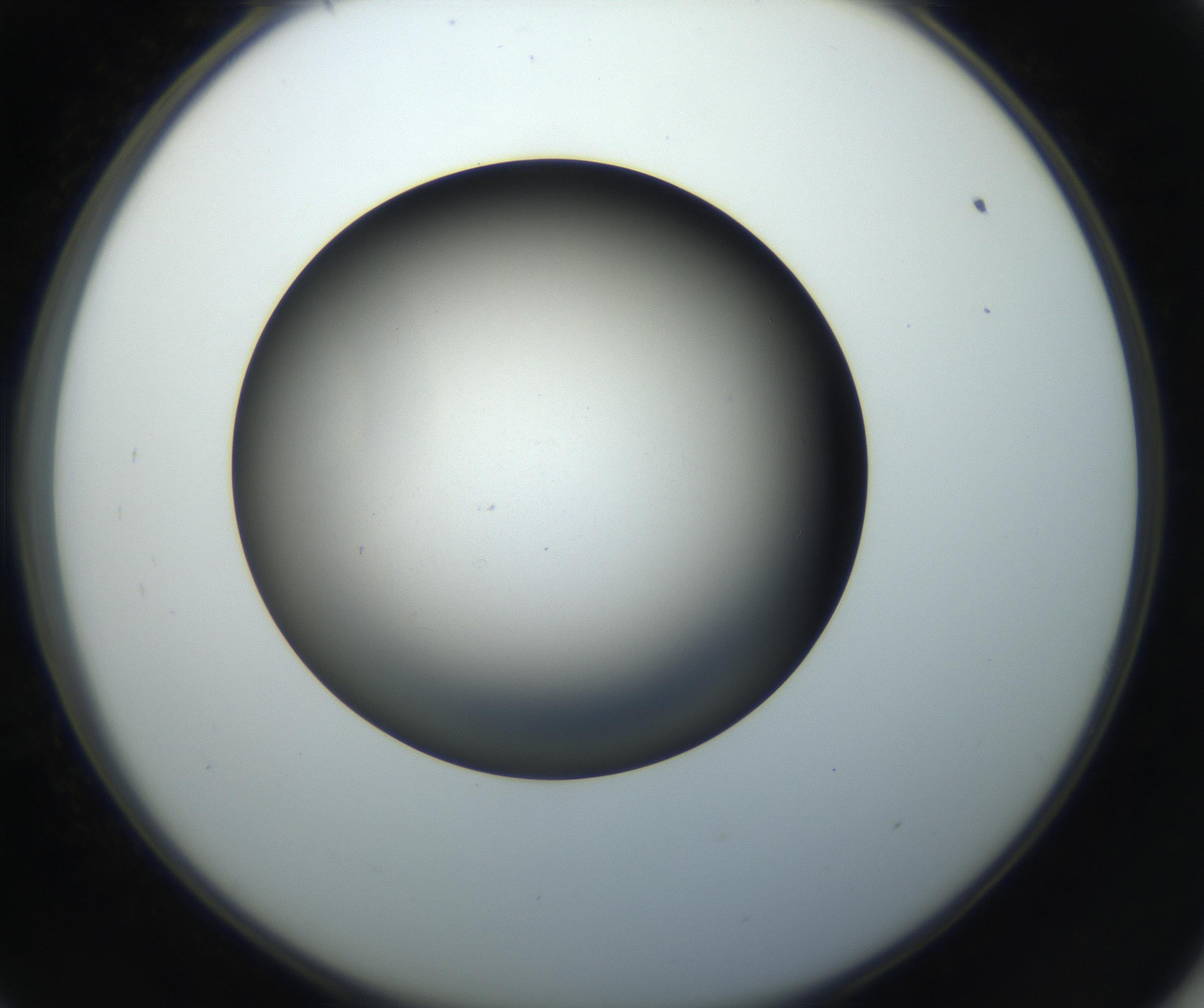 RI01_03_000_0212_Proj1_Clon1_MC_0000MC102718_004_160921_09_05_02_00_99_002_001_RAI.jpg