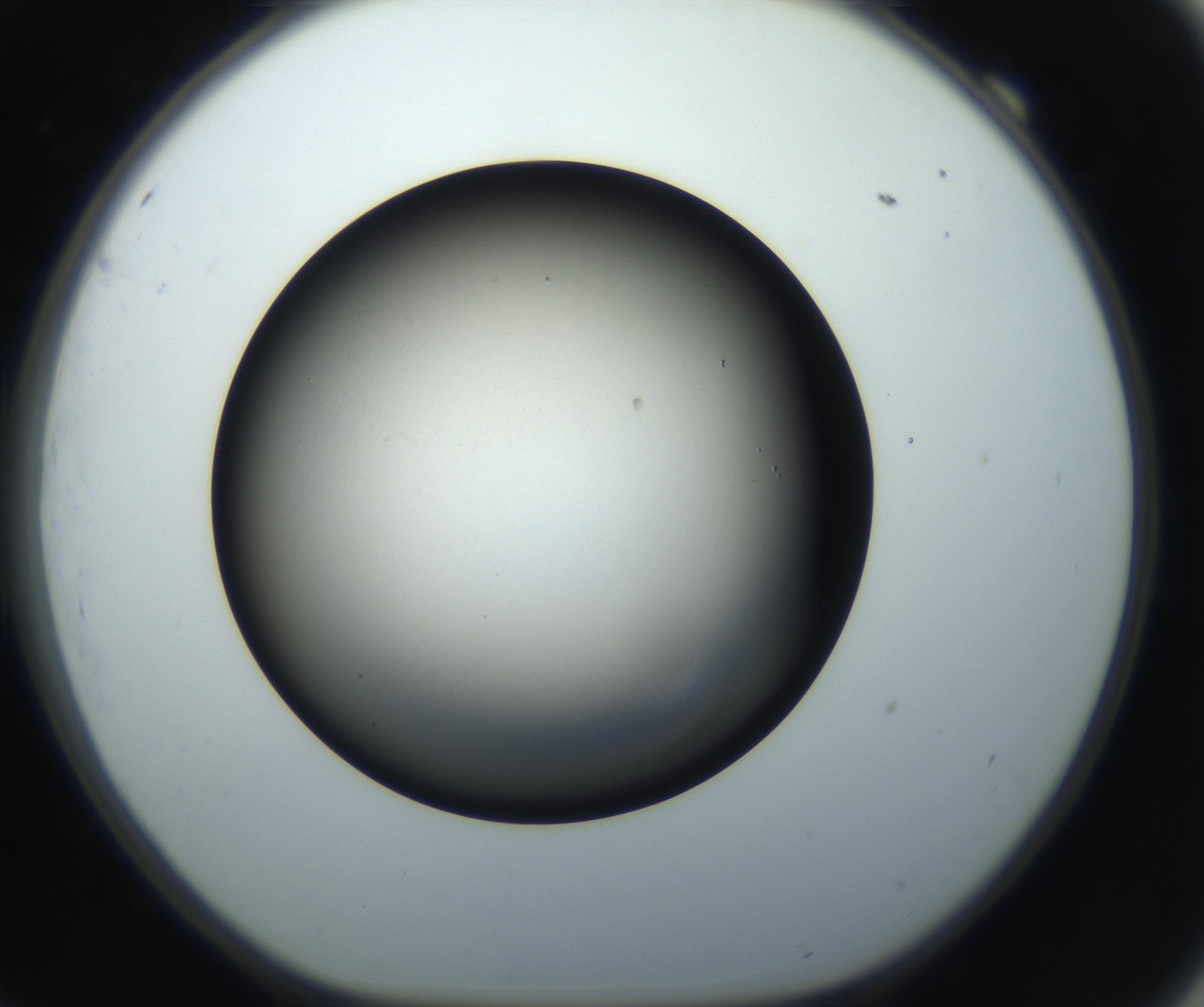 RI01_03_000_0212_Proj1_Clon1_MC_0000MC102718_004_160921_09_06_01_00_99_002_001_RAI.jpg