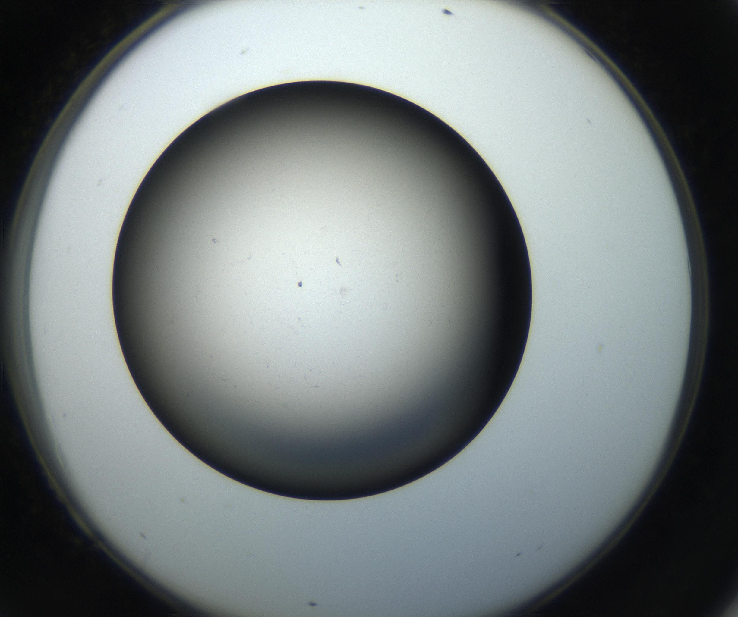 RI01_03_000_0212_Proj1_Clon1_MC_0000MC102718_004_160921_09_06_02_00_99_002_001_RAI.jpg