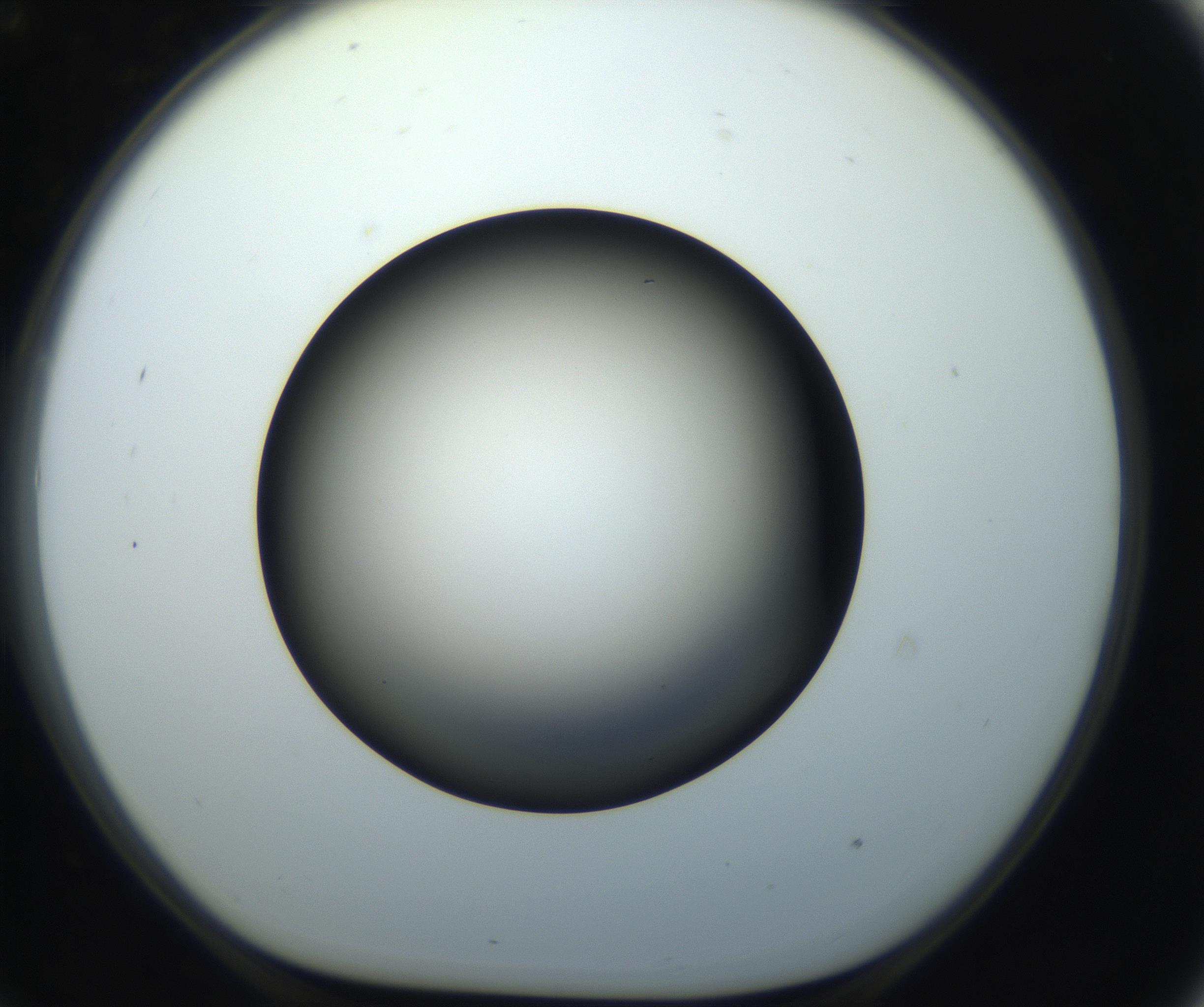 RI01_03_000_0212_Proj1_Clon1_MC_0000MC102718_004_160921_09_07_01_00_99_002_001_RAI.jpg