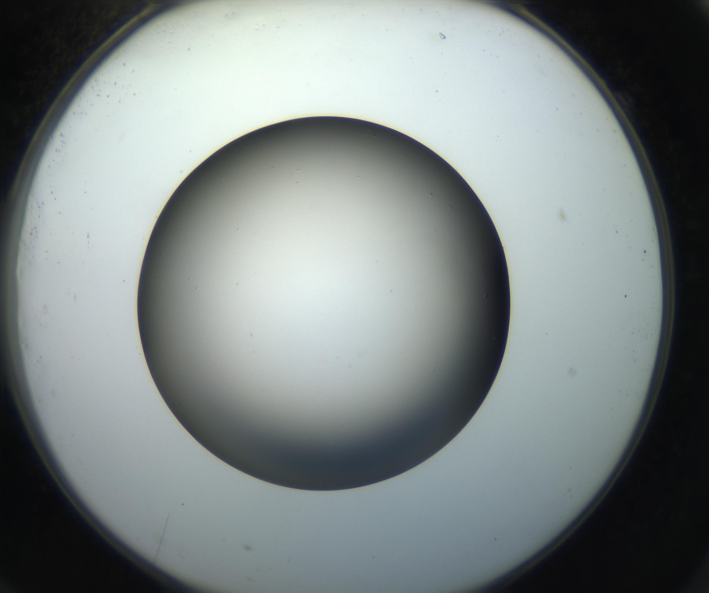 RI01_03_000_0212_Proj1_Clon1_MC_0000MC102718_004_160921_09_07_02_00_99_002_001_RAI.jpg