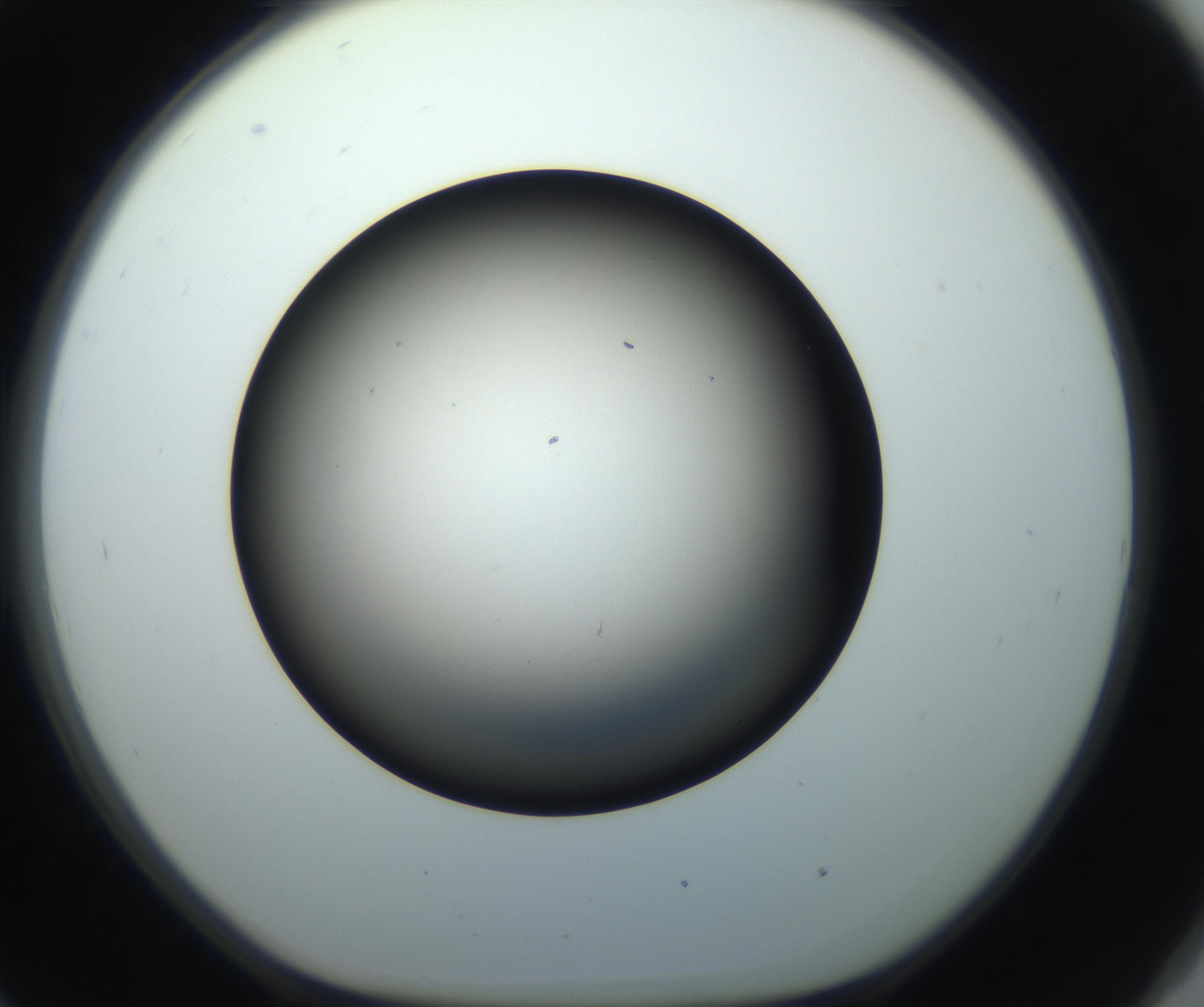 RI01_03_000_0212_Proj1_Clon1_MC_0000MC102718_004_160921_09_08_01_00_99_002_001_RAI.jpg