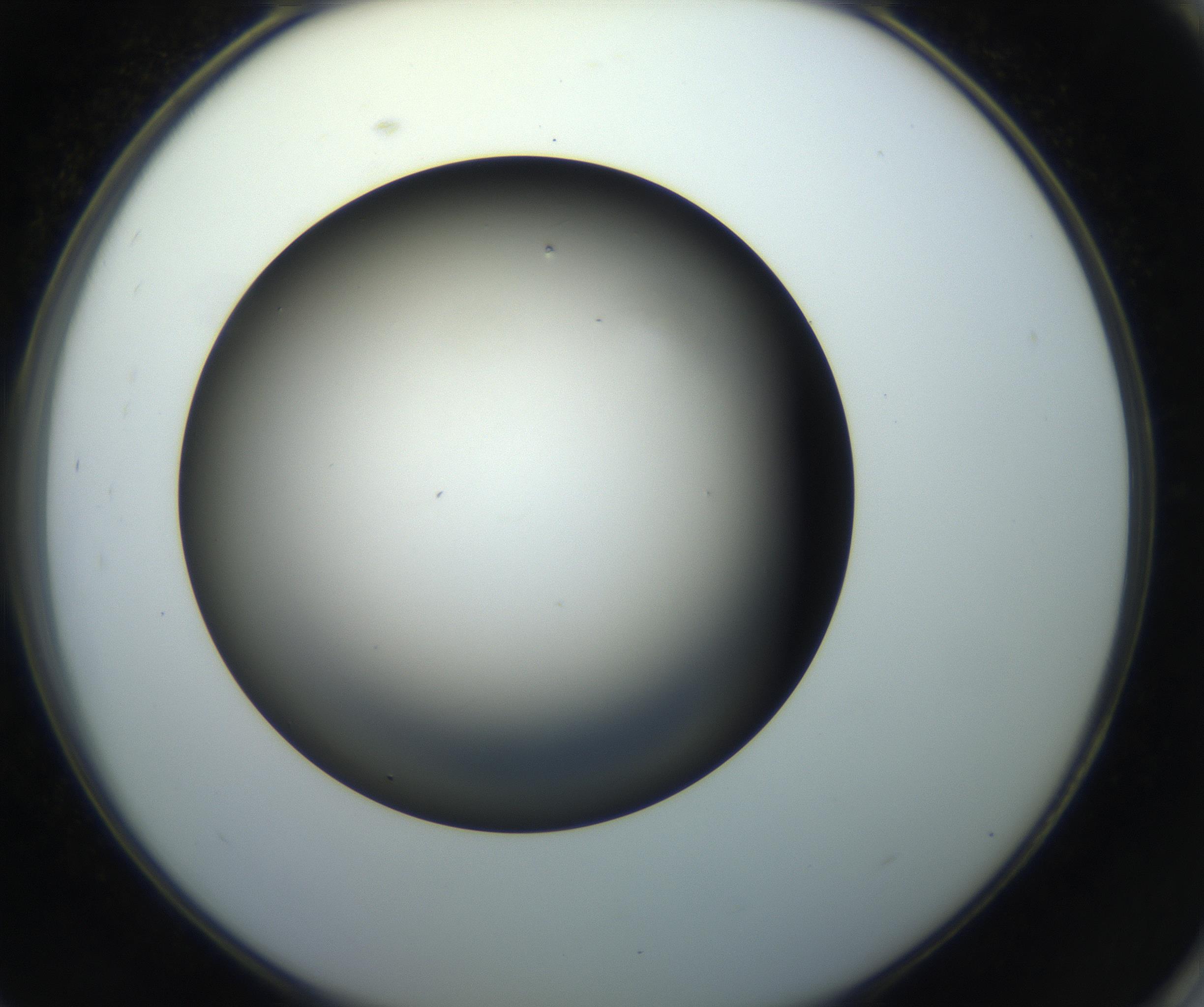 RI01_03_000_0212_Proj1_Clon1_MC_0000MC102718_004_160921_09_08_02_00_99_002_001_RAI.jpg