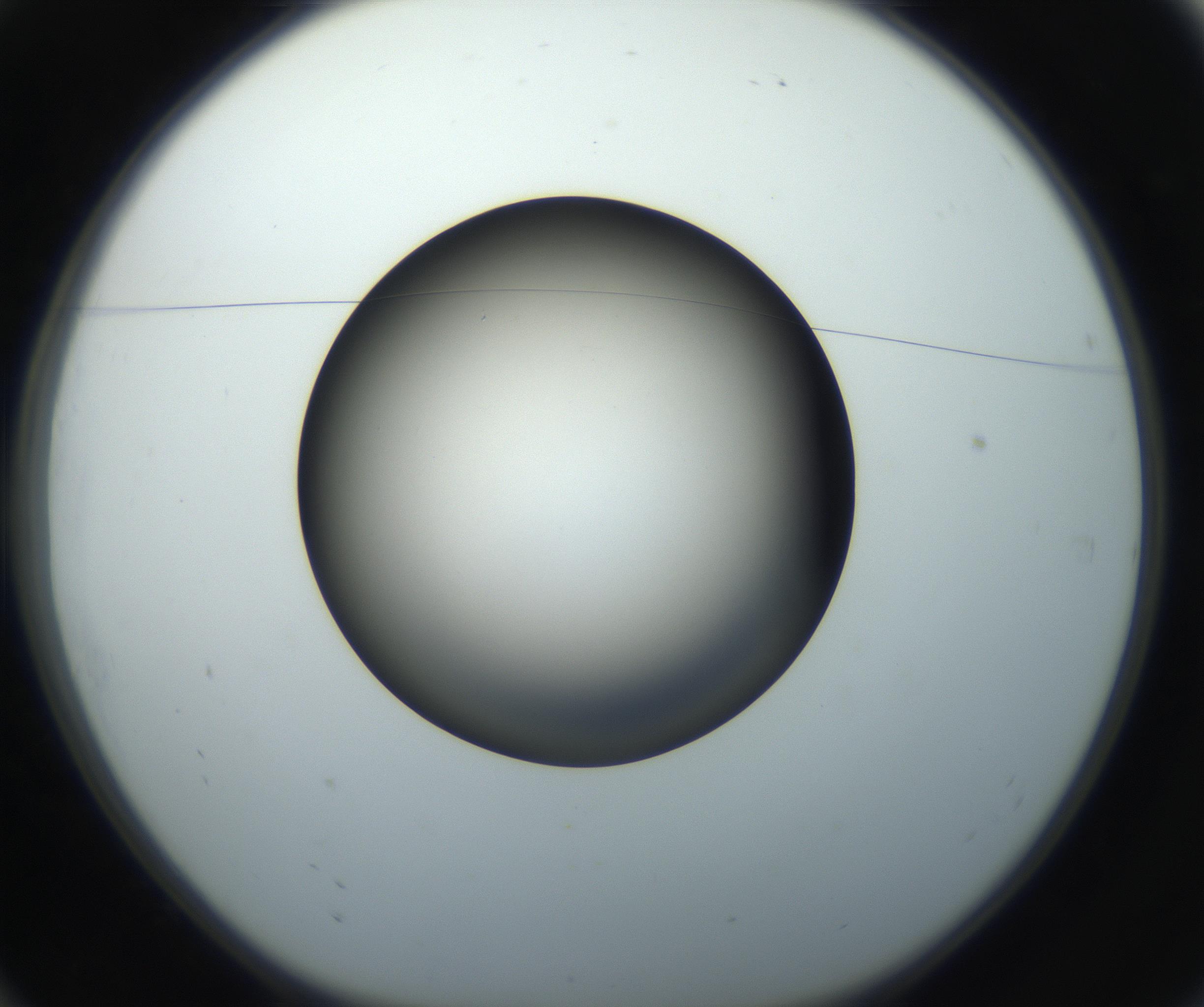 RI01_03_000_0212_Proj1_Clon1_MC_0000MC102718_004_160921_10_01_01_00_99_002_001_RAI.jpg
