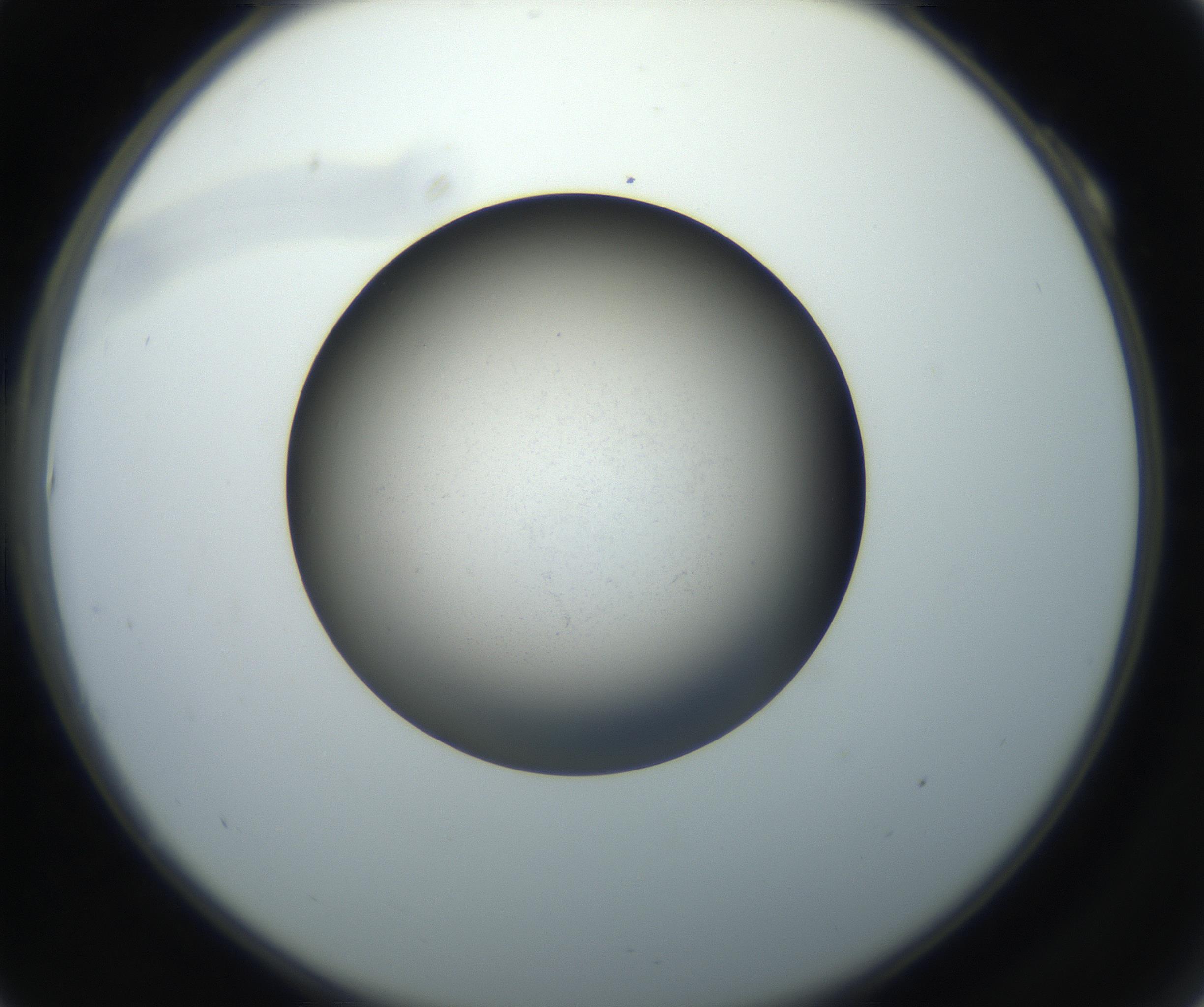 RI01_03_000_0212_Proj1_Clon1_MC_0000MC102718_004_160921_10_01_02_00_99_002_001_RAI.jpg