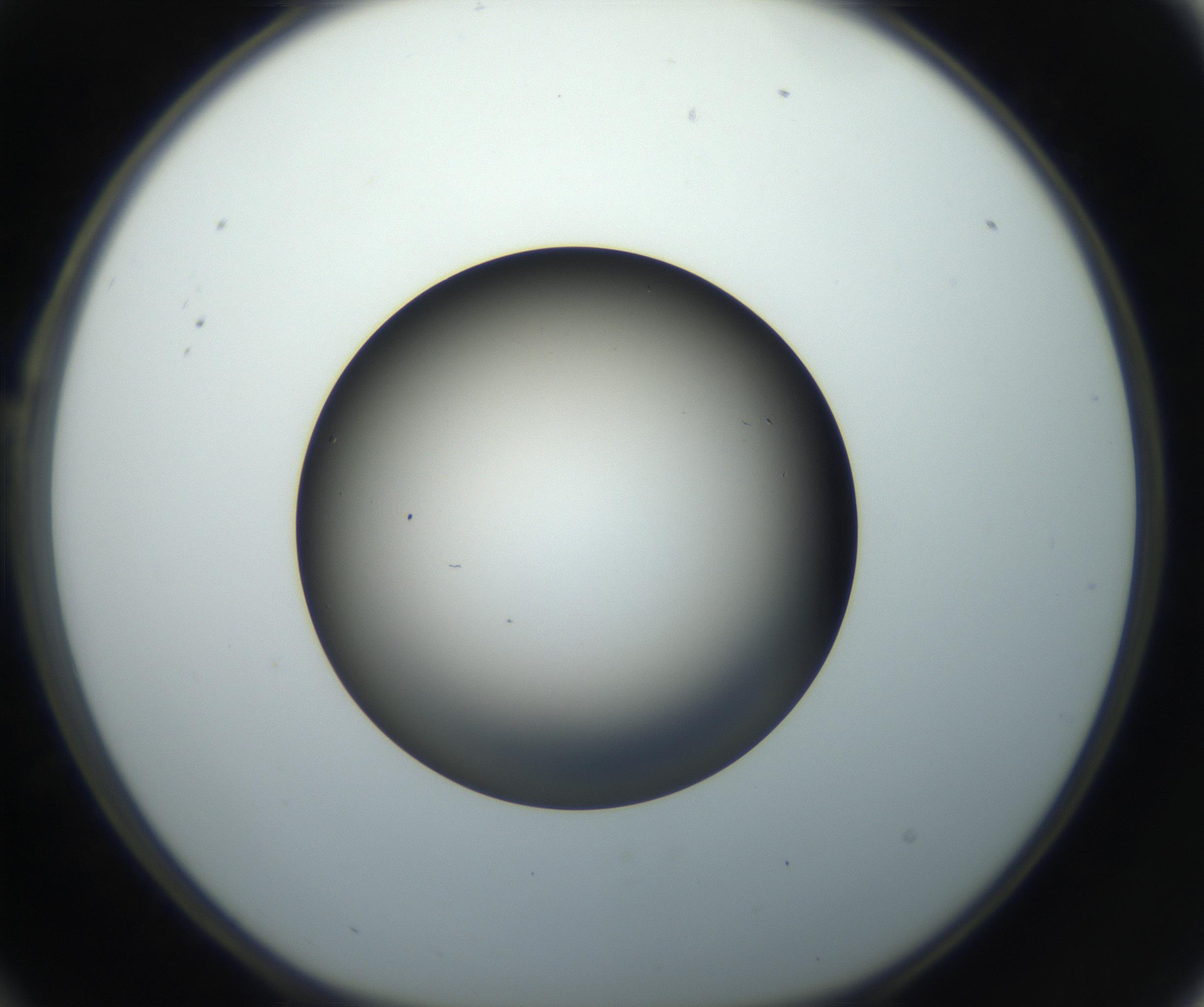 RI01_03_000_0212_Proj1_Clon1_MC_0000MC102718_004_160921_10_02_01_00_99_002_001_RAI.jpg