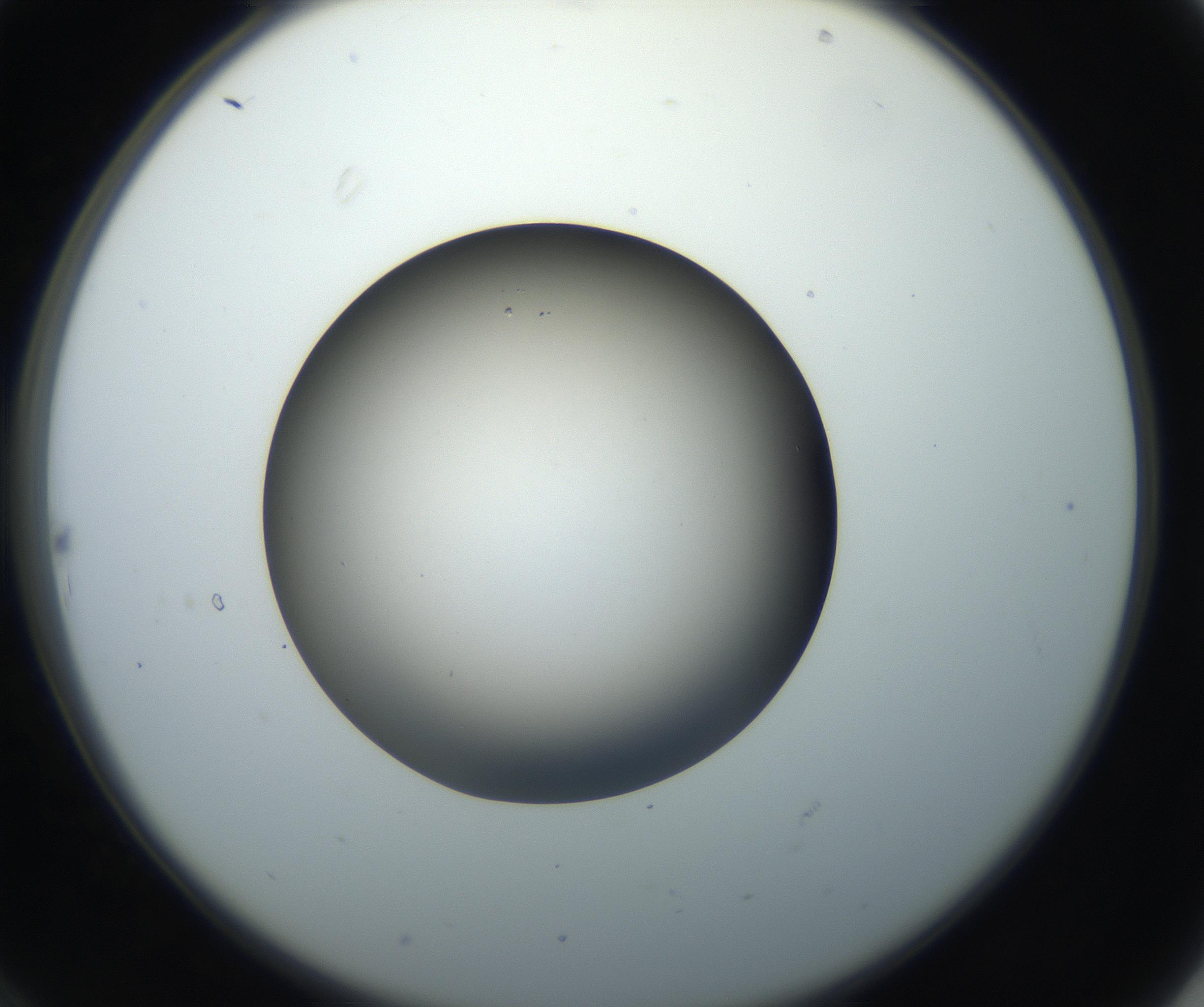 RI01_03_000_0212_Proj1_Clon1_MC_0000MC102718_004_160921_10_02_02_00_99_002_001_RAI.jpg