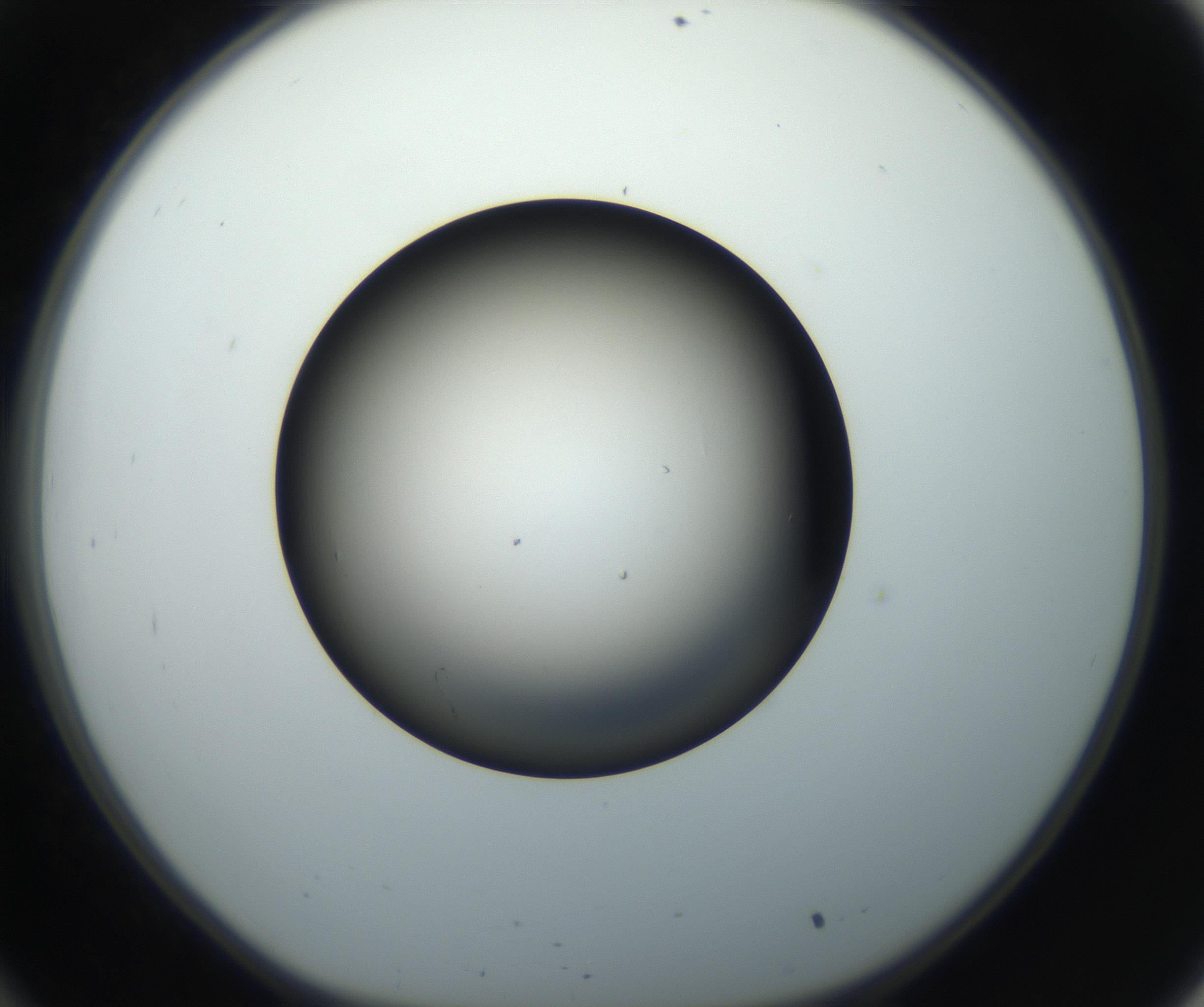 RI01_03_000_0212_Proj1_Clon1_MC_0000MC102718_004_160921_10_03_01_00_99_002_001_RAI.jpg