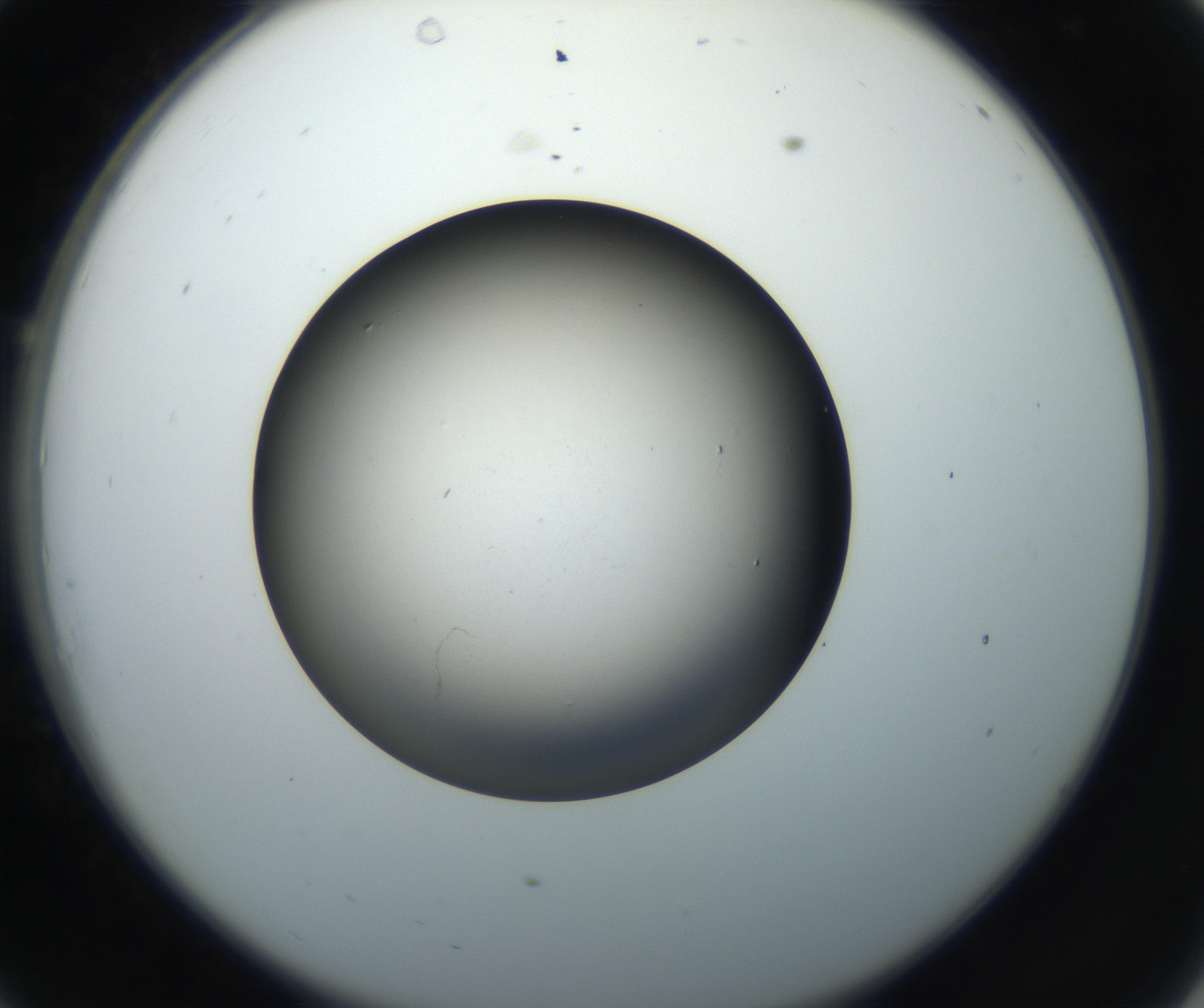 RI01_03_000_0212_Proj1_Clon1_MC_0000MC102718_004_160921_10_03_02_00_99_002_001_RAI.jpg