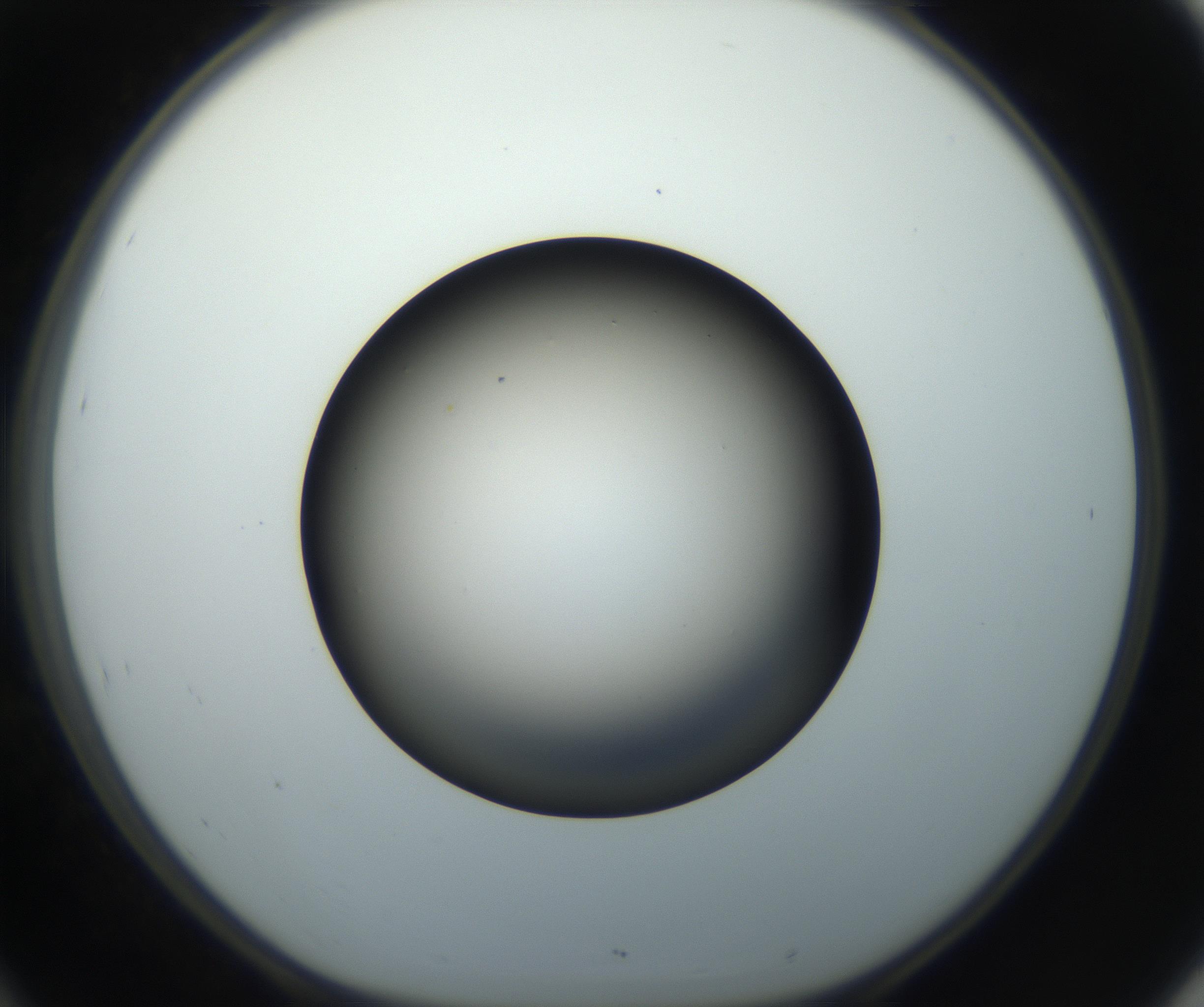 RI01_03_000_0212_Proj1_Clon1_MC_0000MC102718_004_160921_10_04_01_00_99_002_001_RAI.jpg