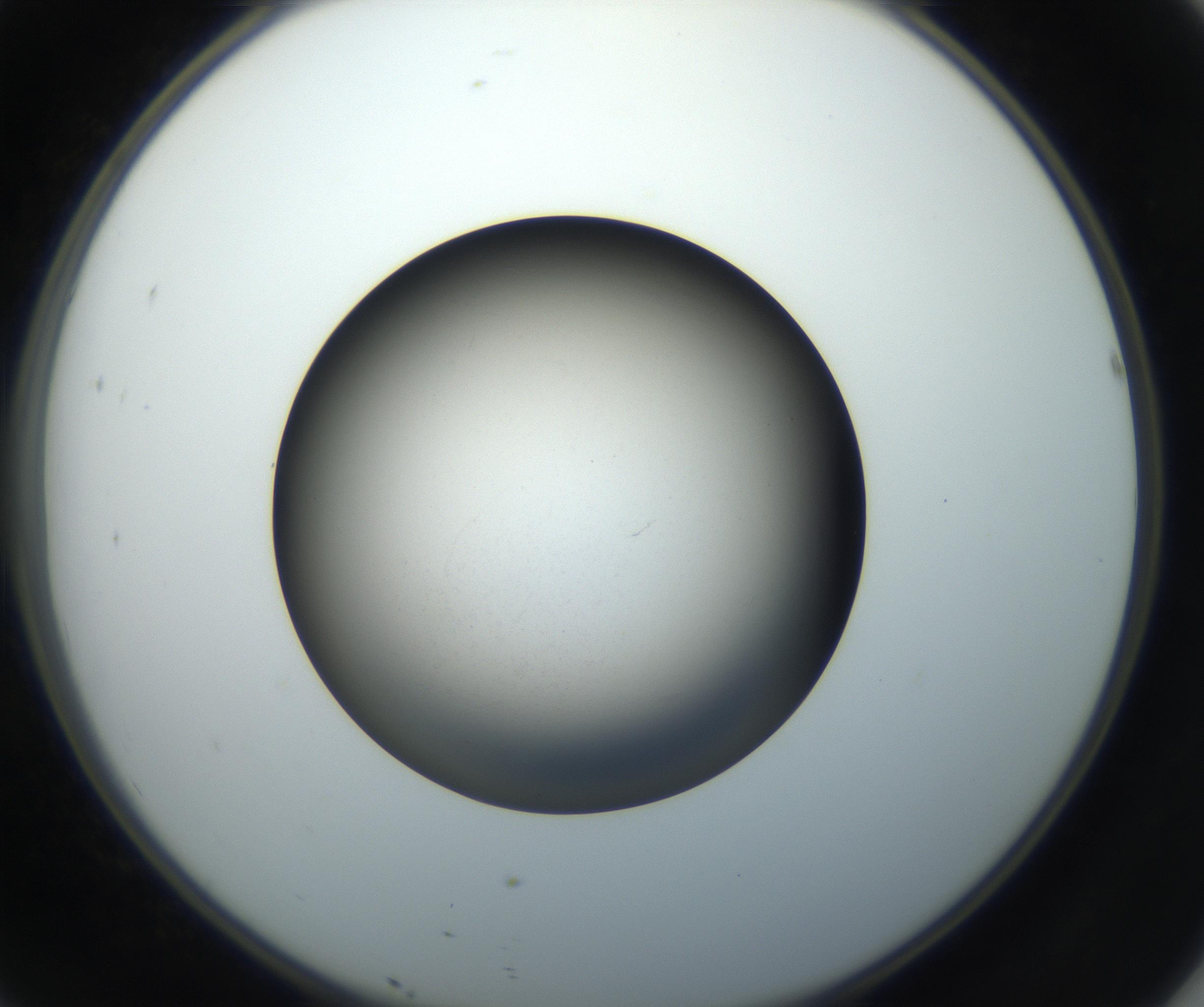 RI01_03_000_0212_Proj1_Clon1_MC_0000MC102718_004_160921_10_04_02_00_99_002_001_RAI.jpg