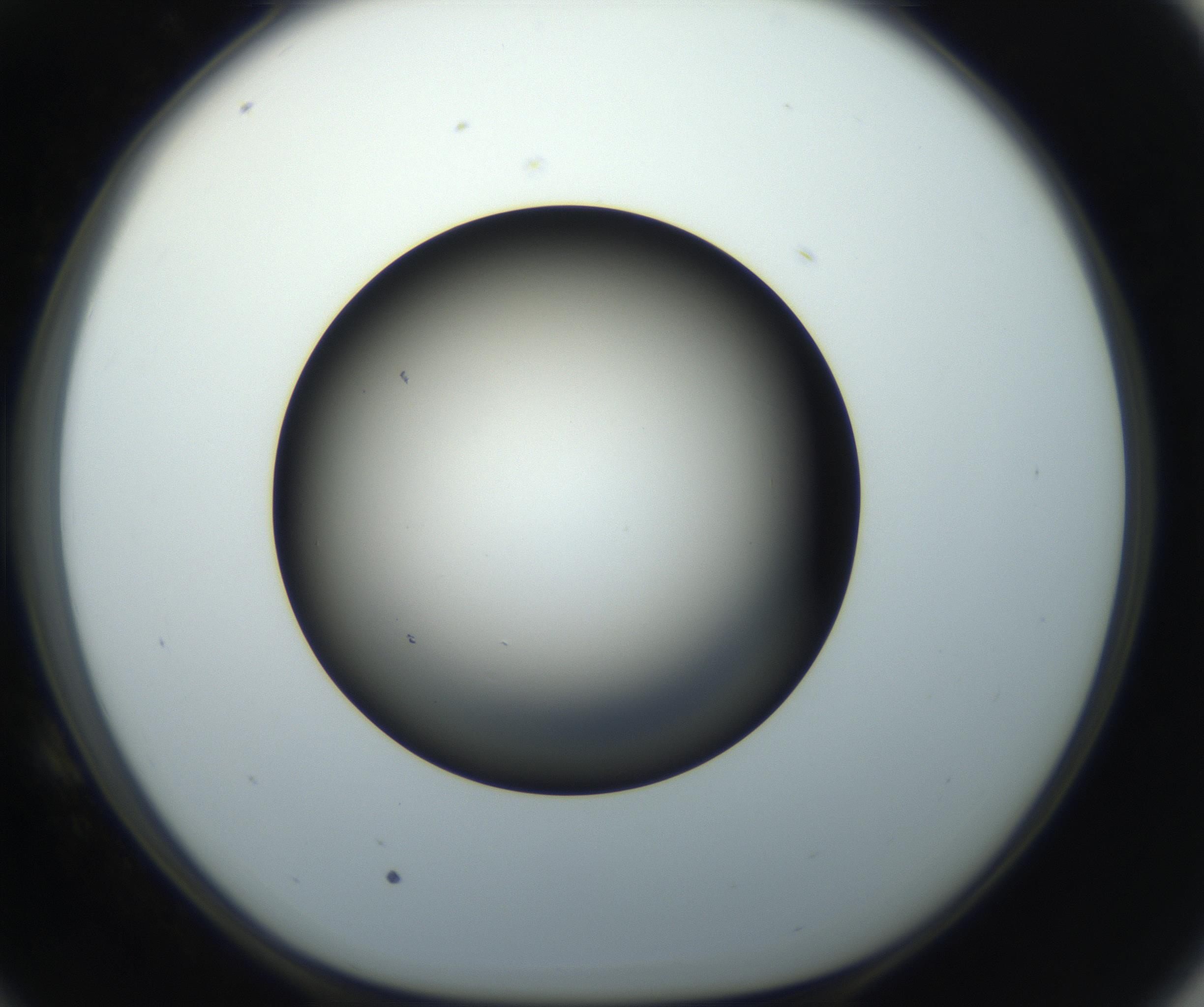 RI01_03_000_0212_Proj1_Clon1_MC_0000MC102718_004_160921_10_05_01_00_99_002_001_RAI.jpg