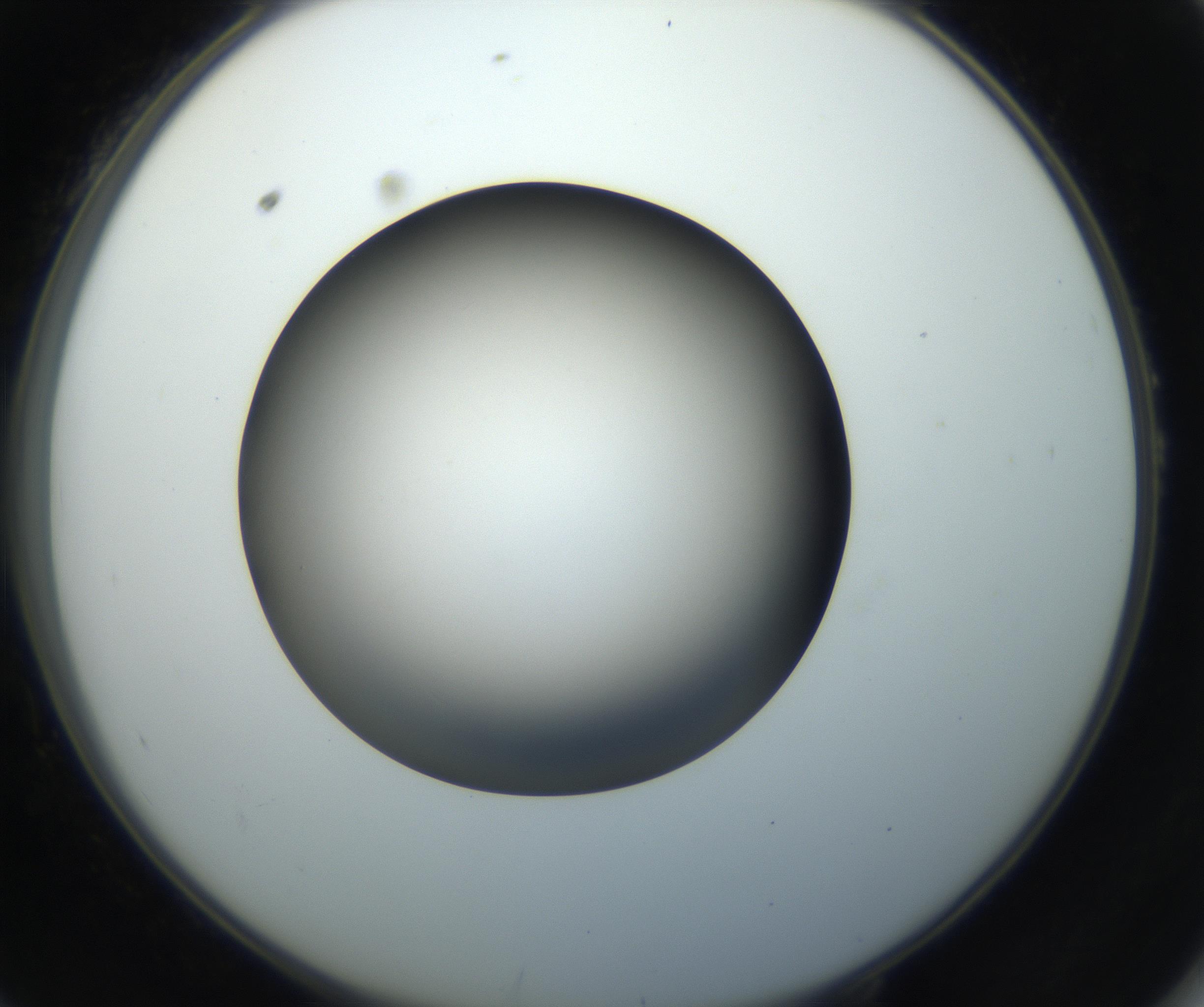 RI01_03_000_0212_Proj1_Clon1_MC_0000MC102718_004_160921_10_05_02_00_99_002_001_RAI.jpg