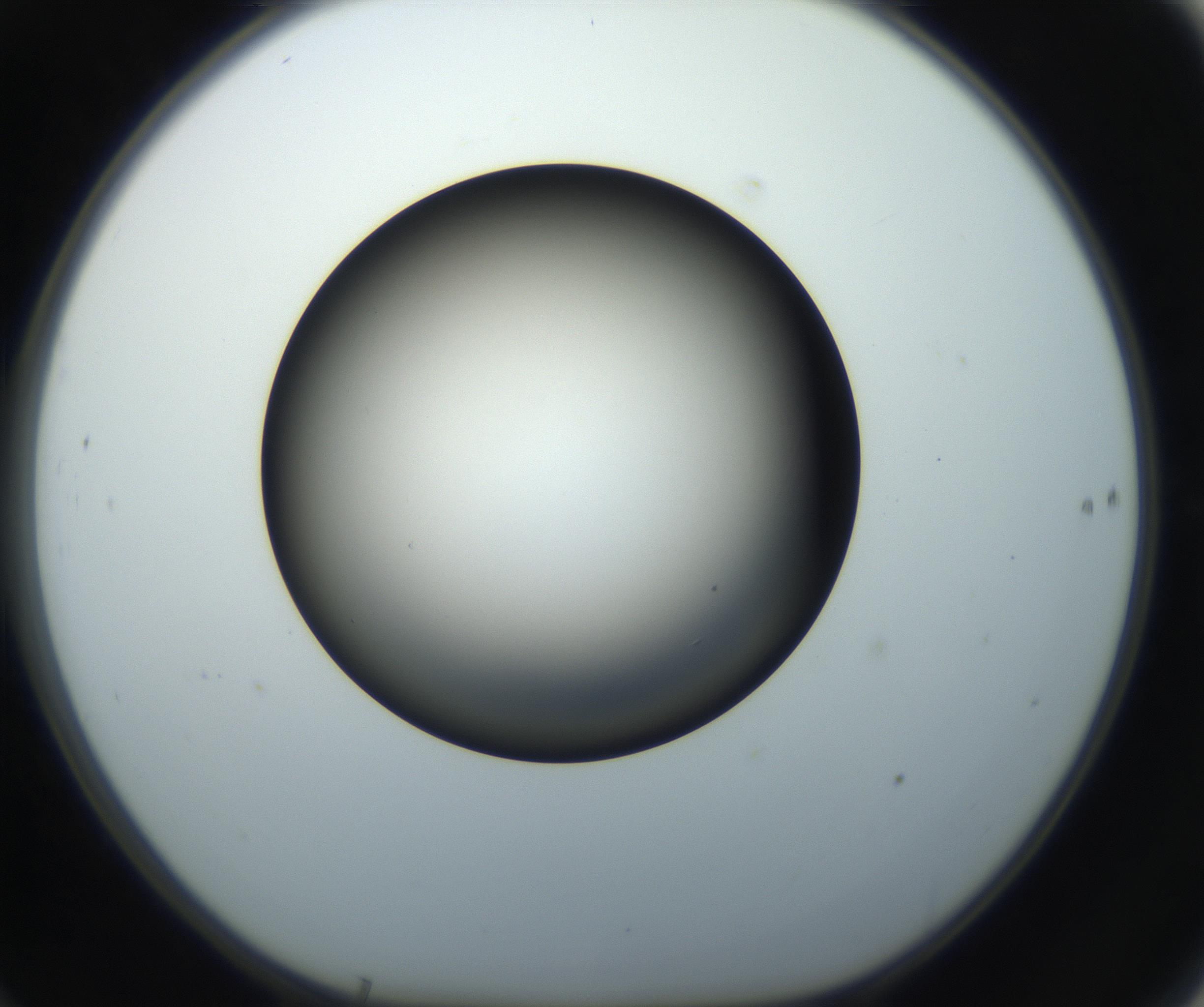 RI01_03_000_0212_Proj1_Clon1_MC_0000MC102718_004_160921_10_06_01_00_99_002_001_RAI.jpg