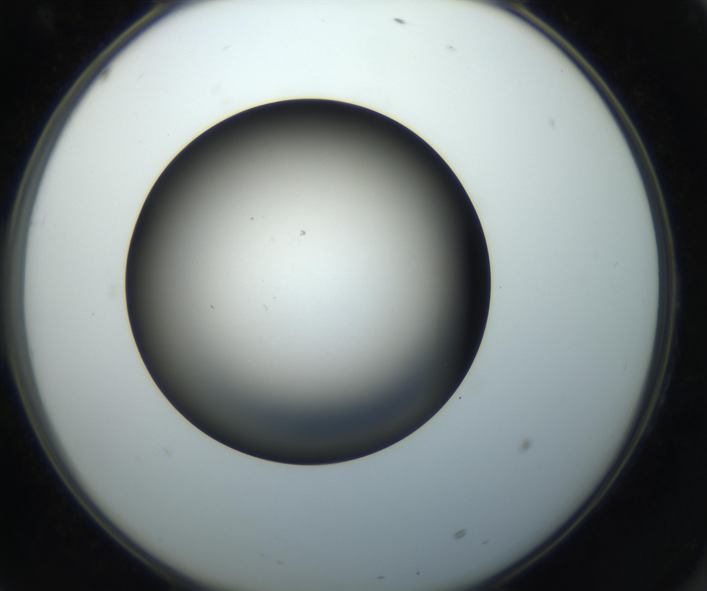 RI01_03_000_0212_Proj1_Clon1_MC_0000MC102718_004_160921_10_06_02_00_99_002_001_RAI.jpg