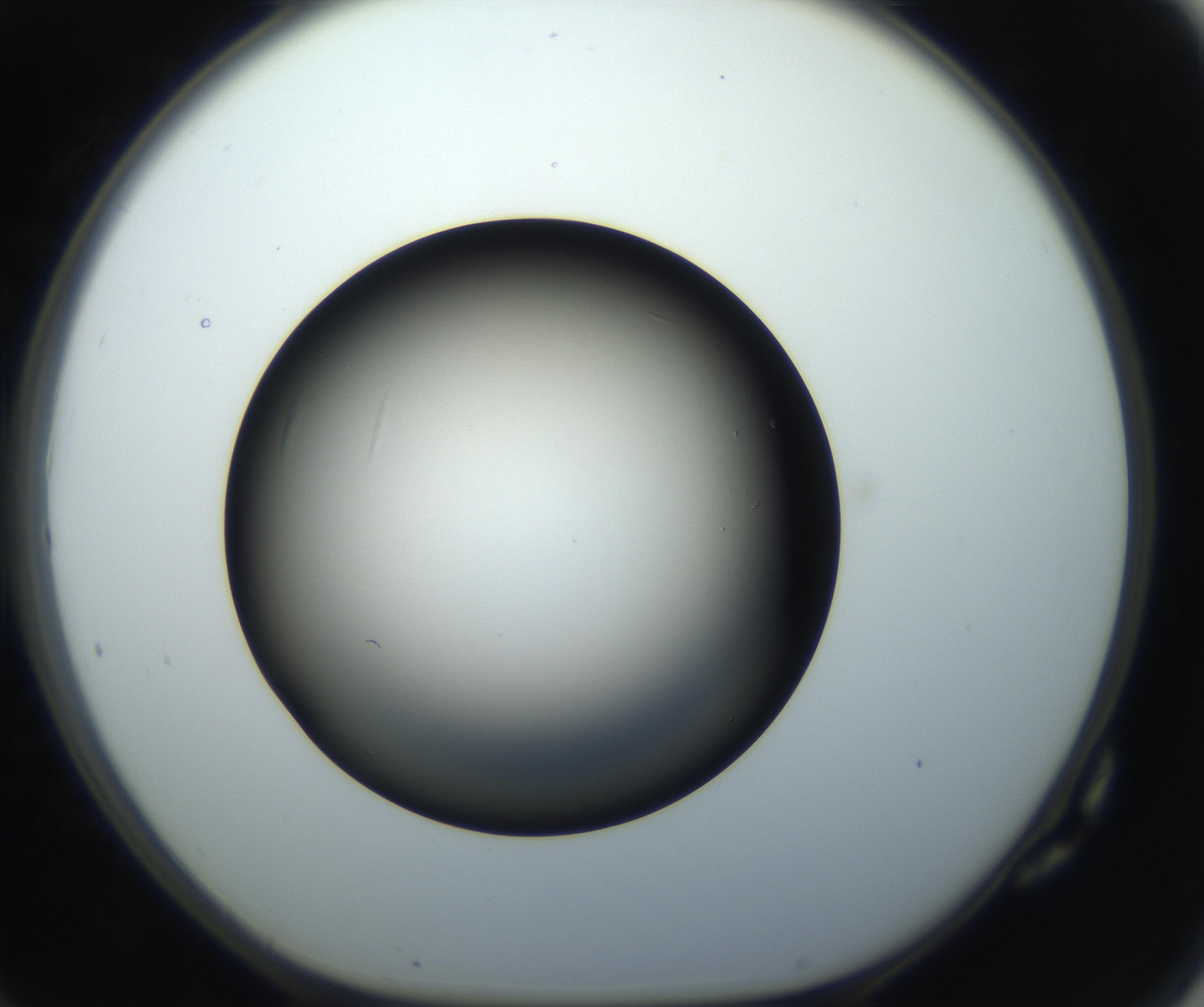 RI01_03_000_0212_Proj1_Clon1_MC_0000MC102718_004_160921_10_07_01_00_99_002_001_RAI.jpg