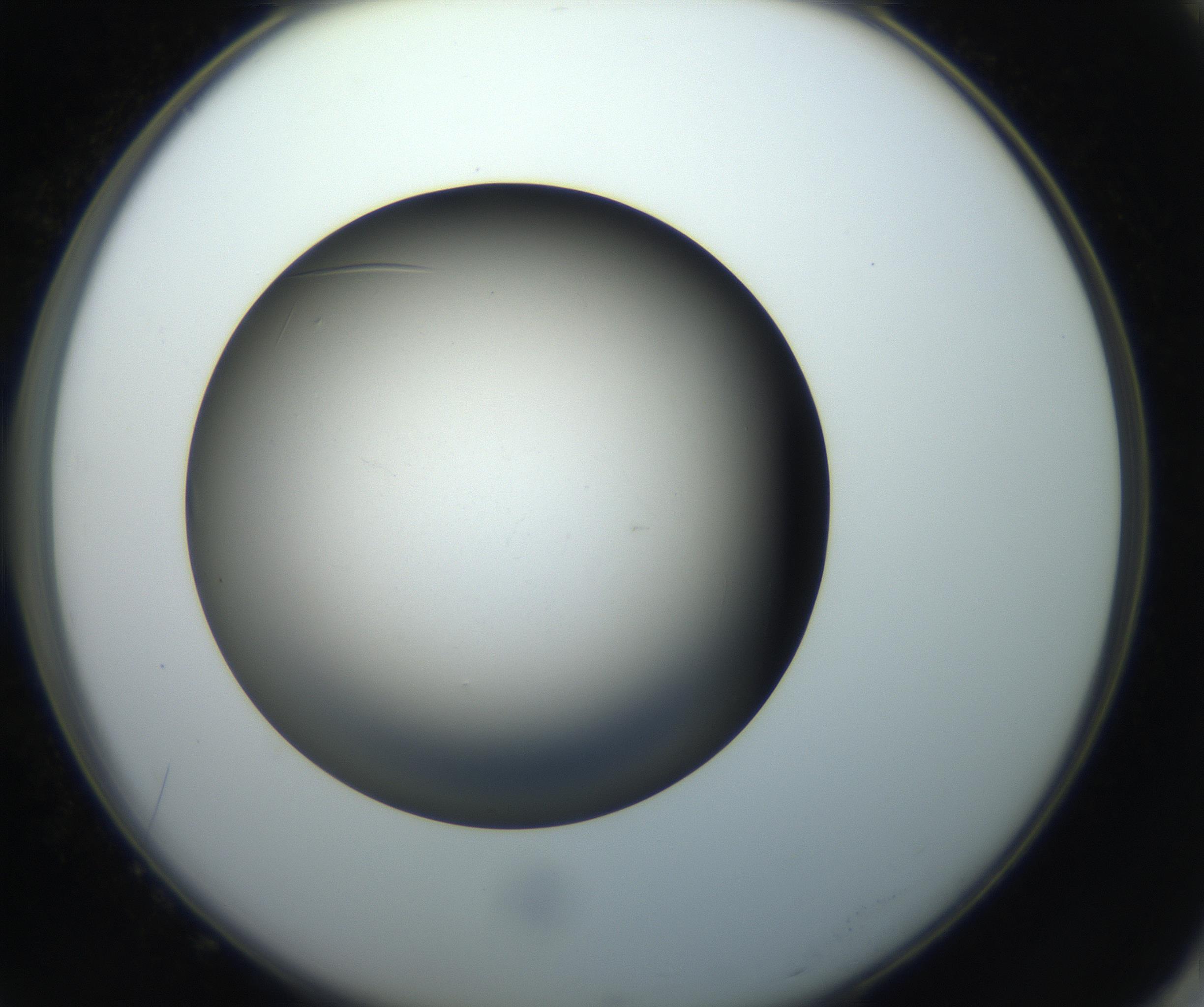 RI01_03_000_0212_Proj1_Clon1_MC_0000MC102718_004_160921_10_07_02_00_99_002_001_RAI.jpg