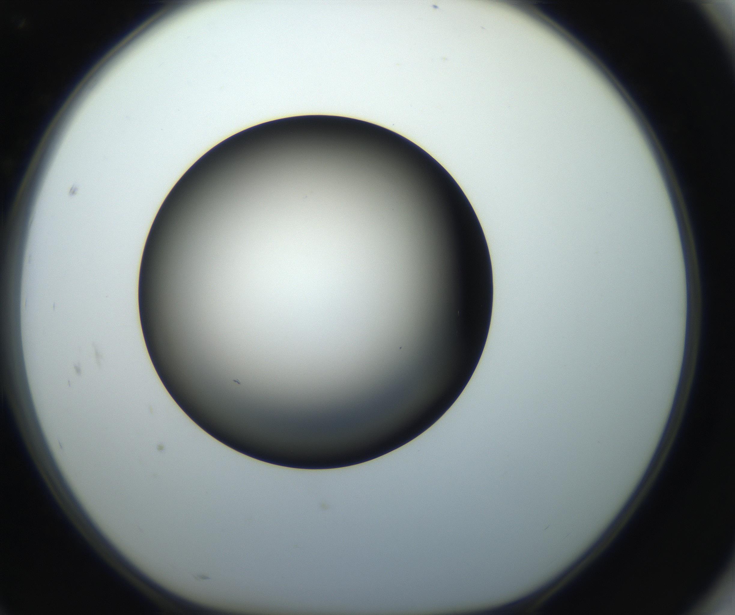 RI01_03_000_0212_Proj1_Clon1_MC_0000MC102718_004_160921_10_08_01_00_99_002_001_RAI.jpg
