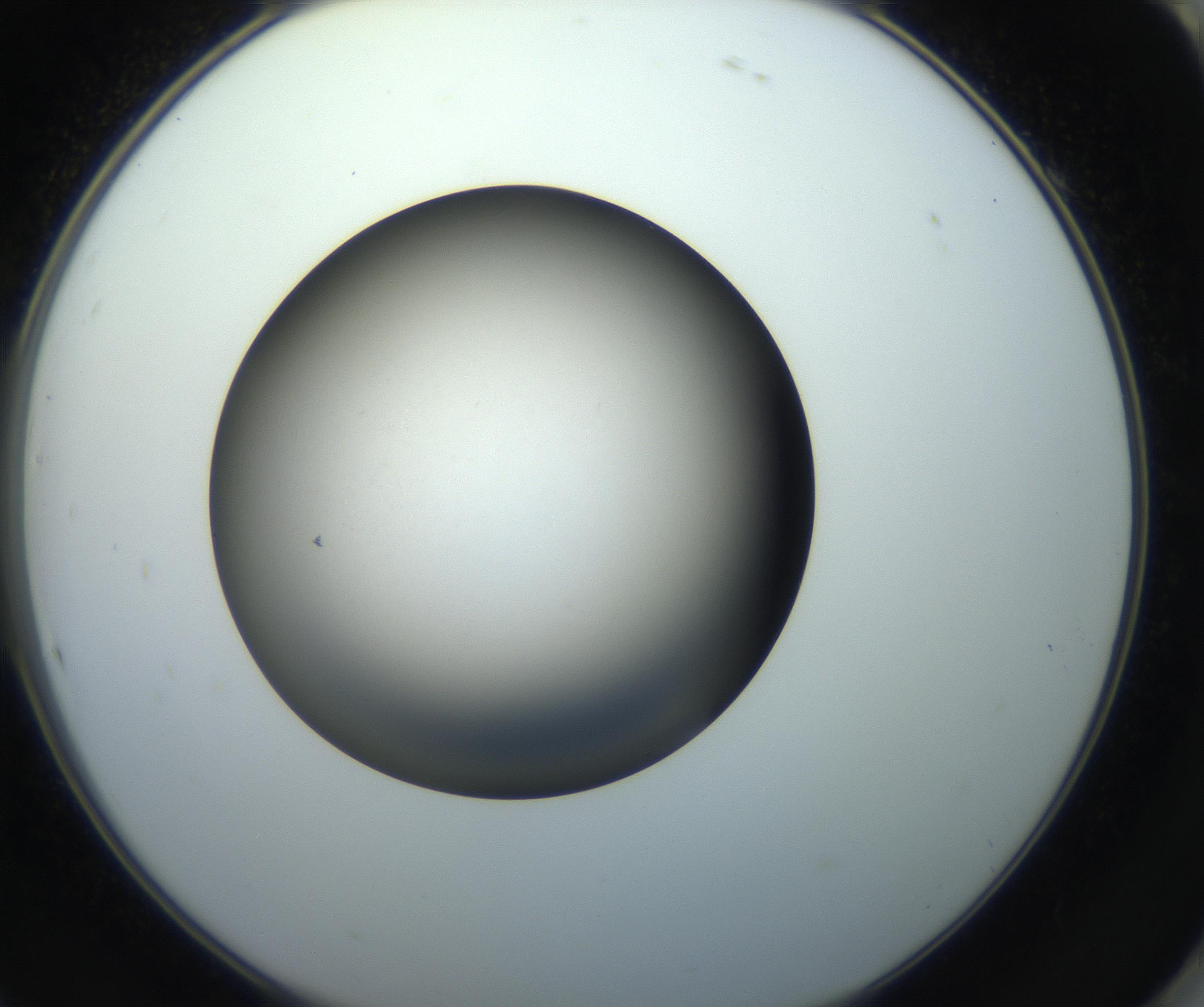 RI01_03_000_0212_Proj1_Clon1_MC_0000MC102718_004_160921_10_08_02_00_99_002_001_RAI.jpg