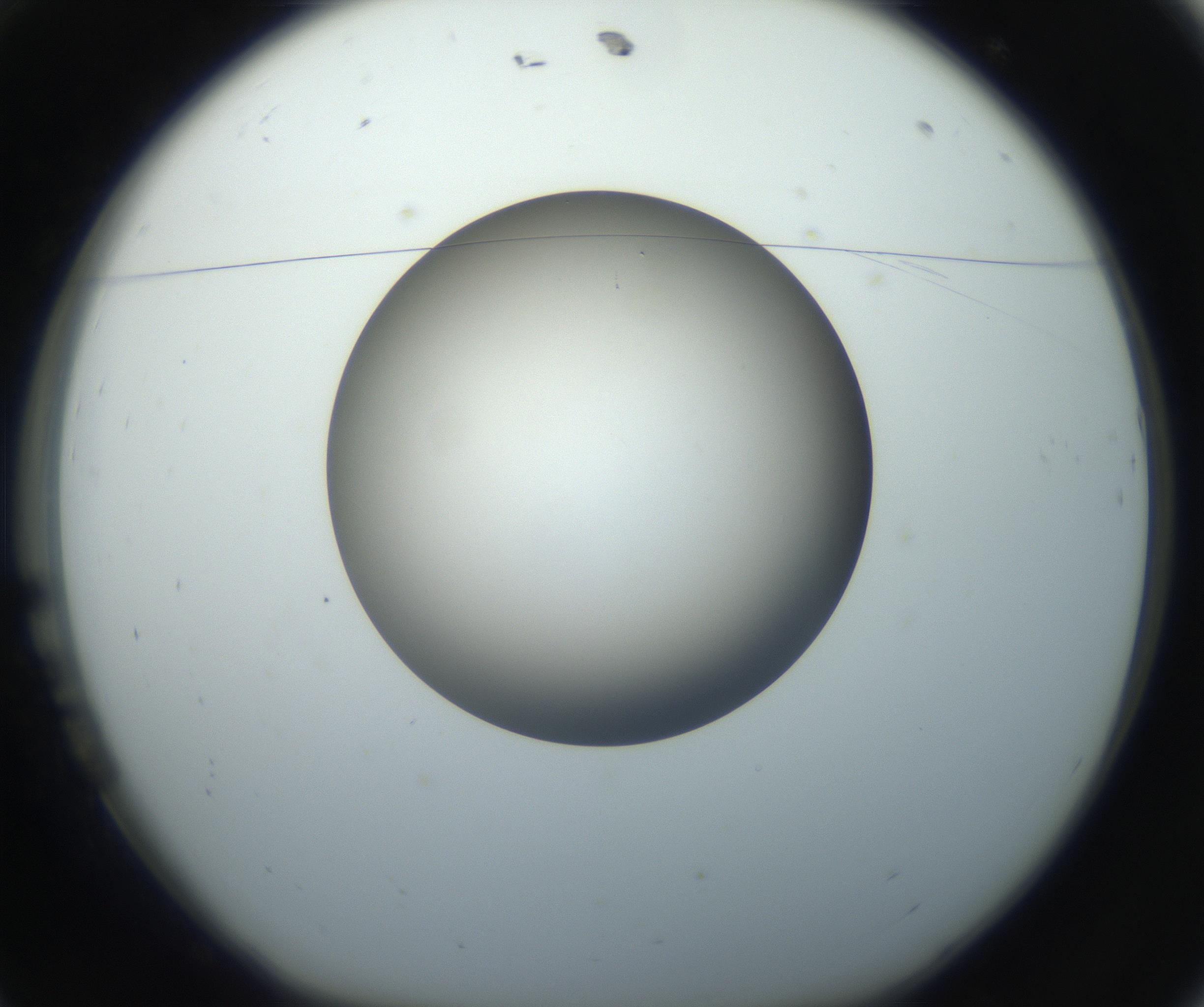 RI01_03_000_0212_Proj1_Clon1_MC_0000MC102718_004_160921_11_01_01_00_99_002_001_RAI.jpg