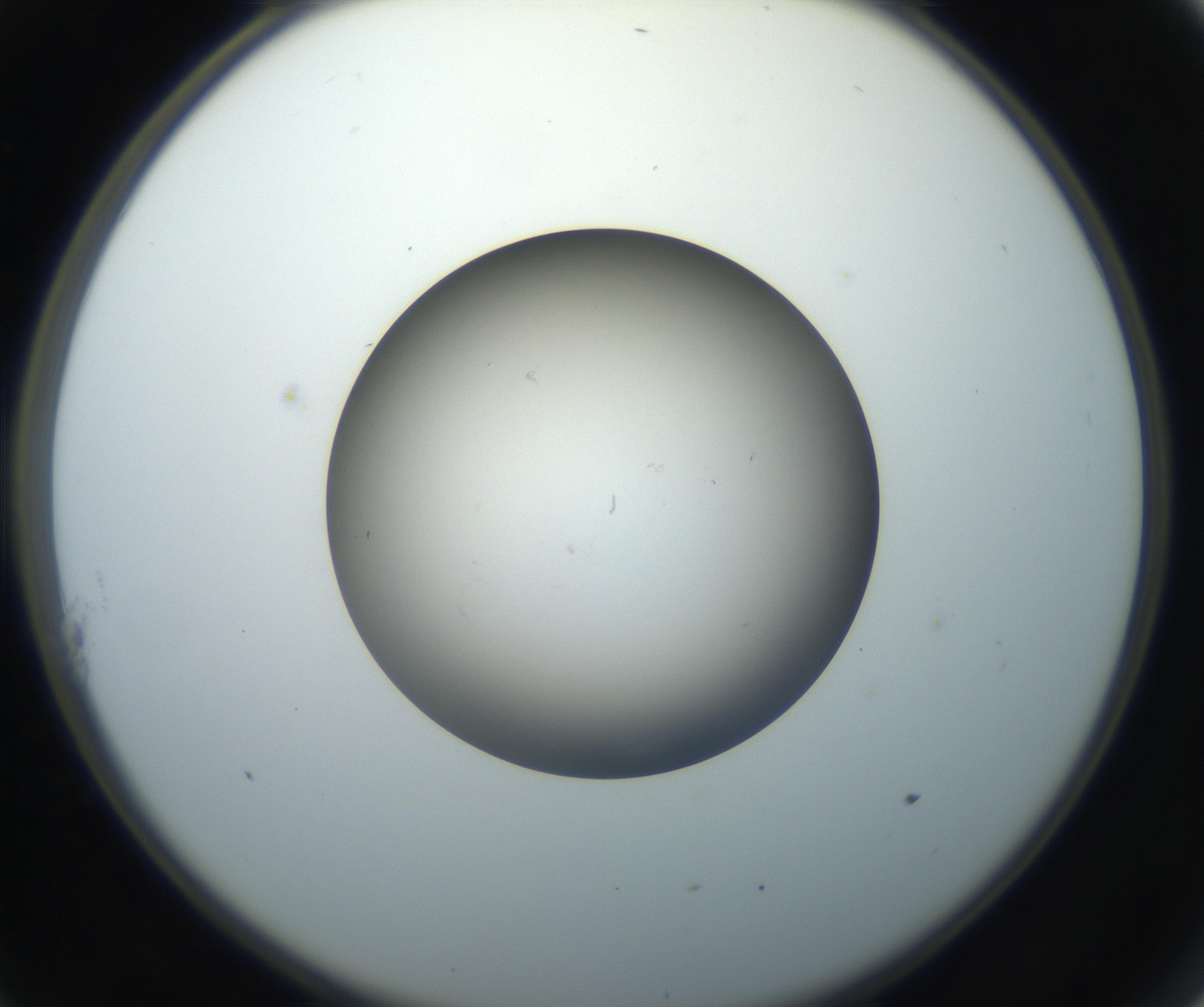 RI01_03_000_0212_Proj1_Clon1_MC_0000MC102718_004_160921_11_01_02_00_99_002_001_RAI.jpg