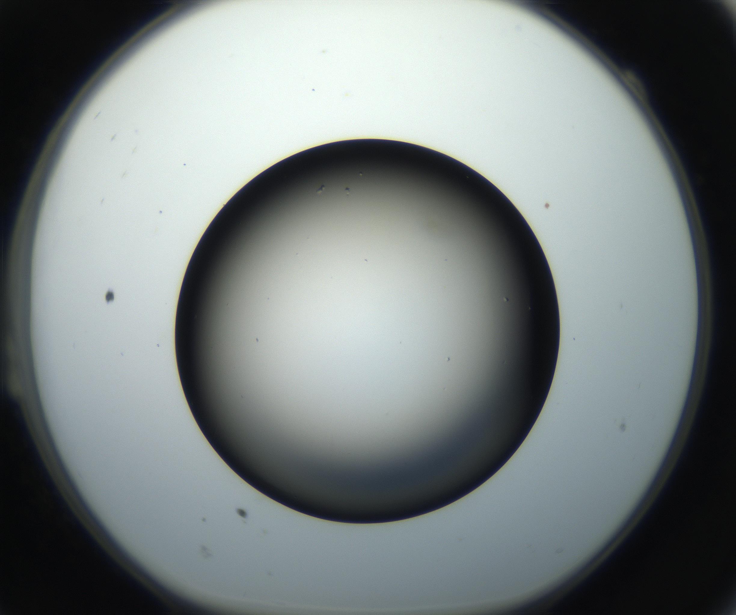 RI01_03_000_0212_Proj1_Clon1_MC_0000MC102718_004_160921_11_02_01_00_99_002_001_RAI.jpg